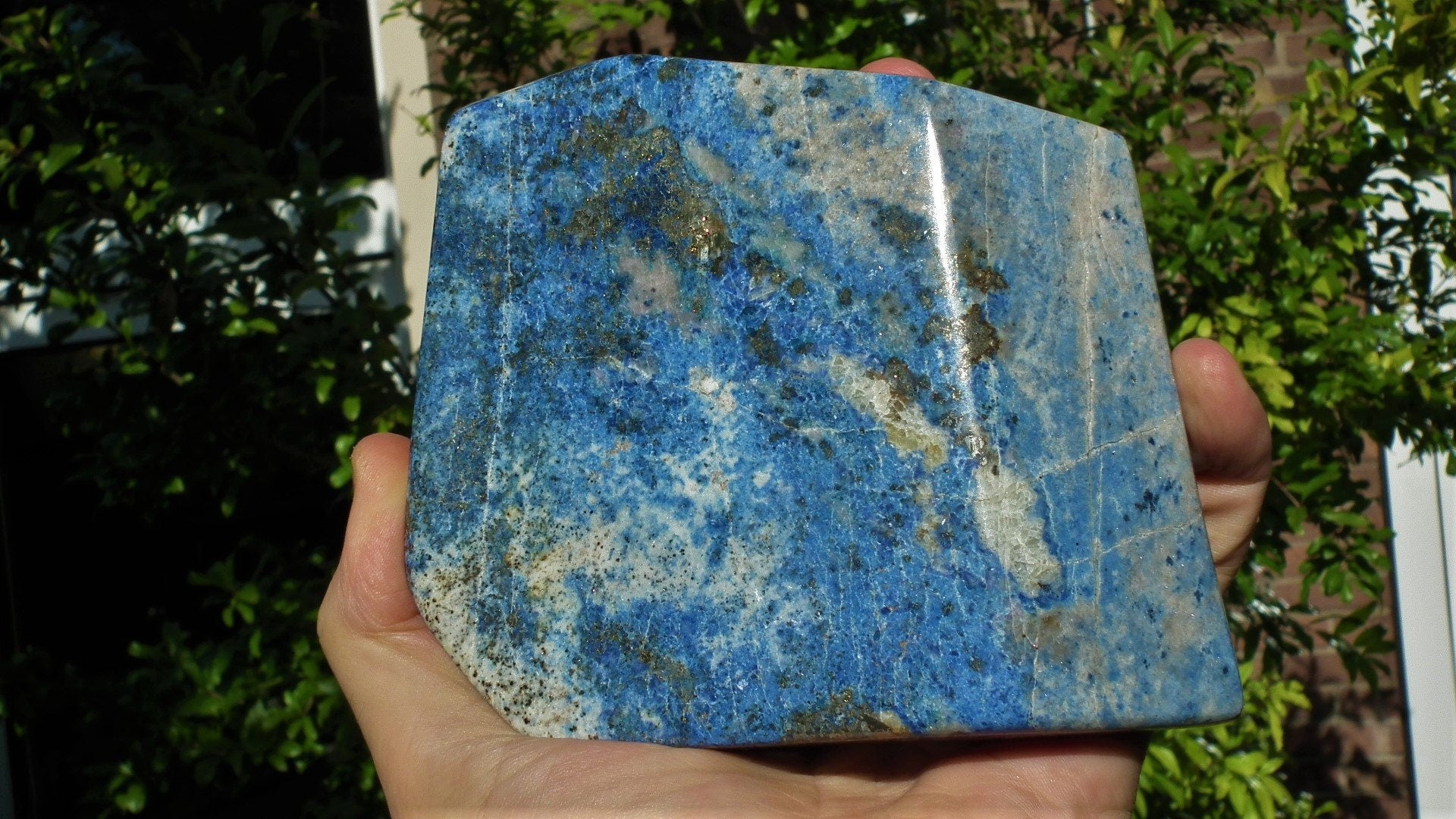 Lapis Lazuli Freefrom / Sculpture