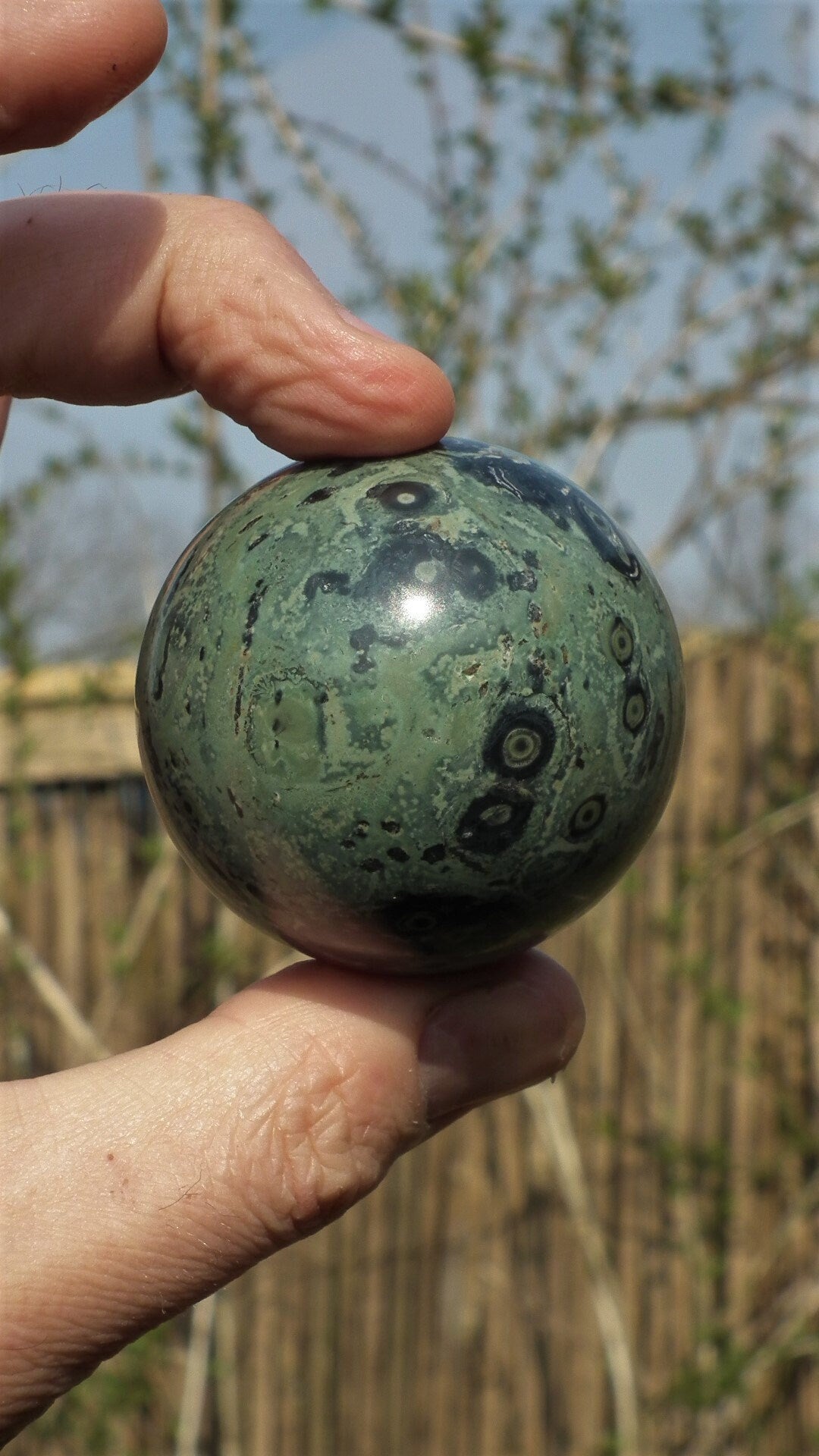 55mm Kambaba Jasper sphere