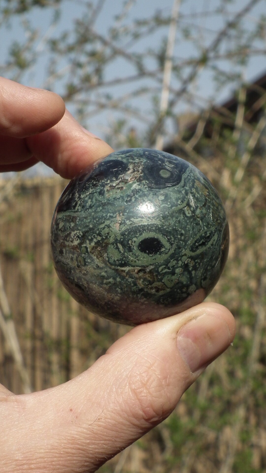 50mm Kambaba Jasper sphere