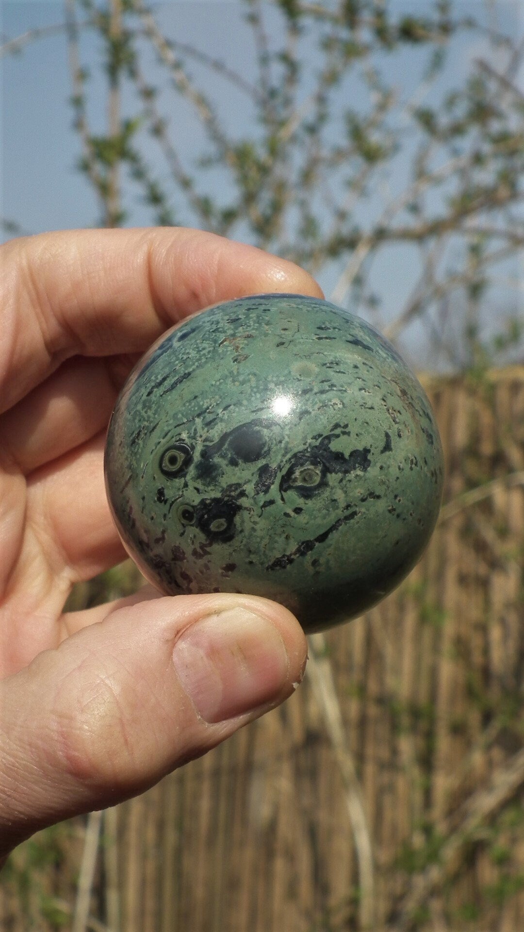 55mm Kambaba Jasper sphere