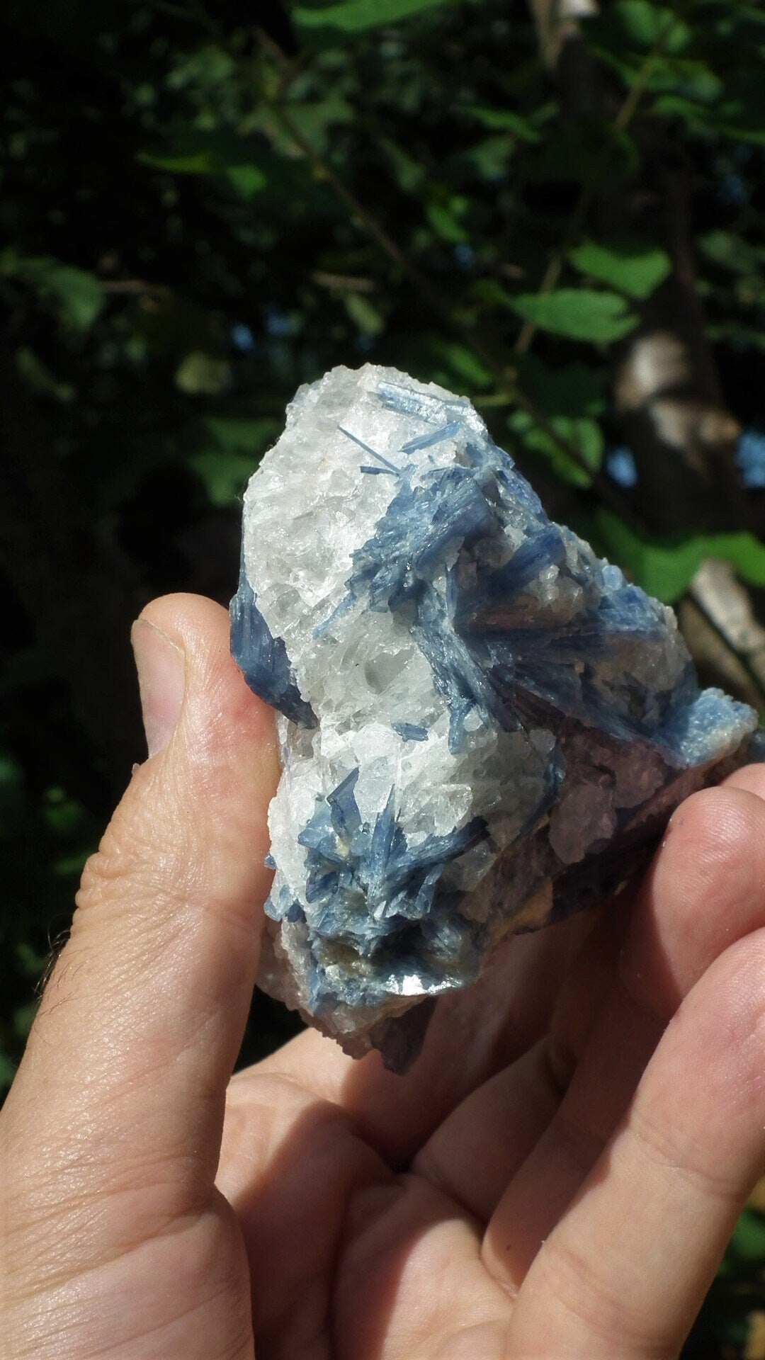 raw blue kyanite / large blue kyanite
