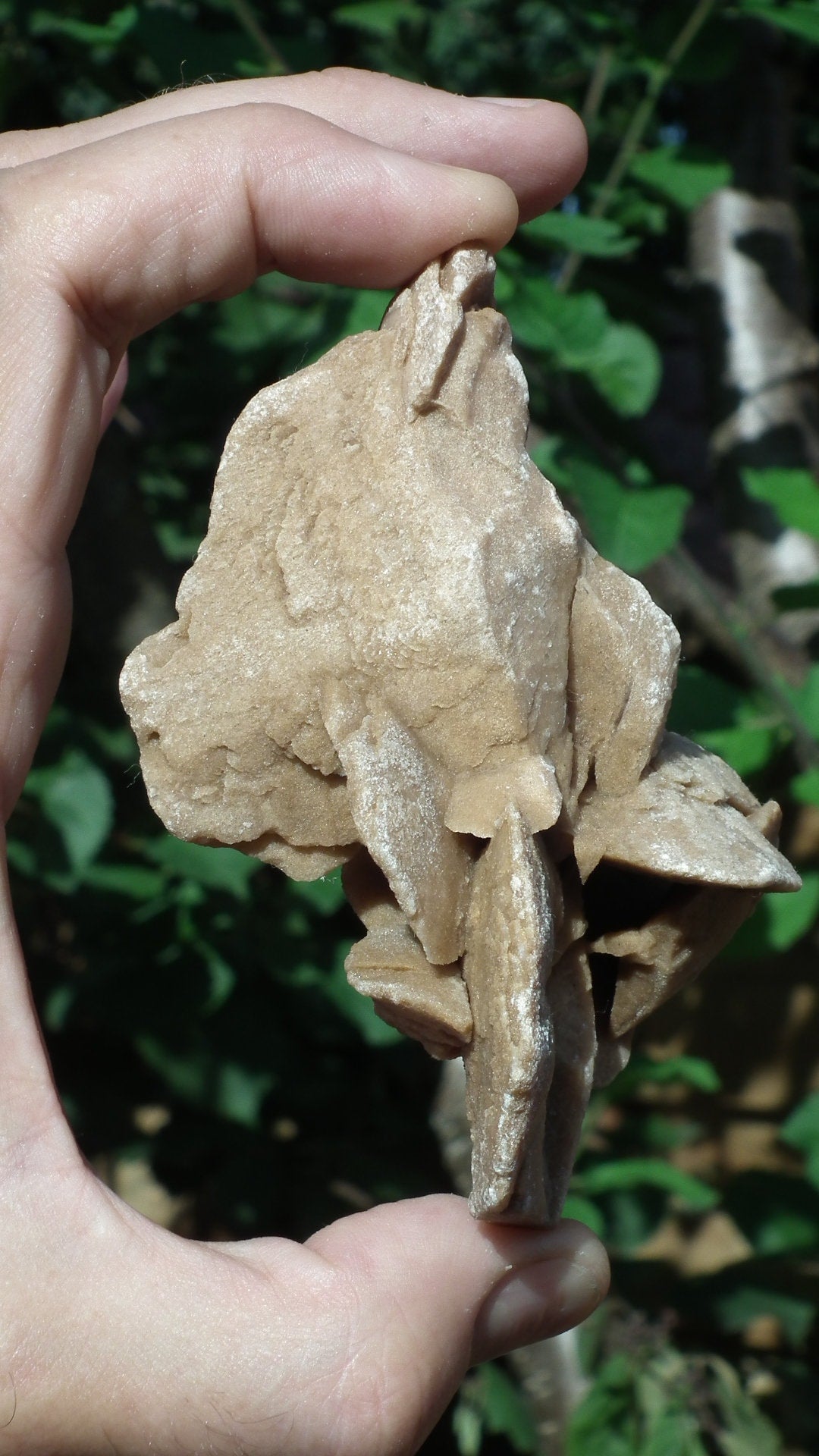 Desert rose crystal