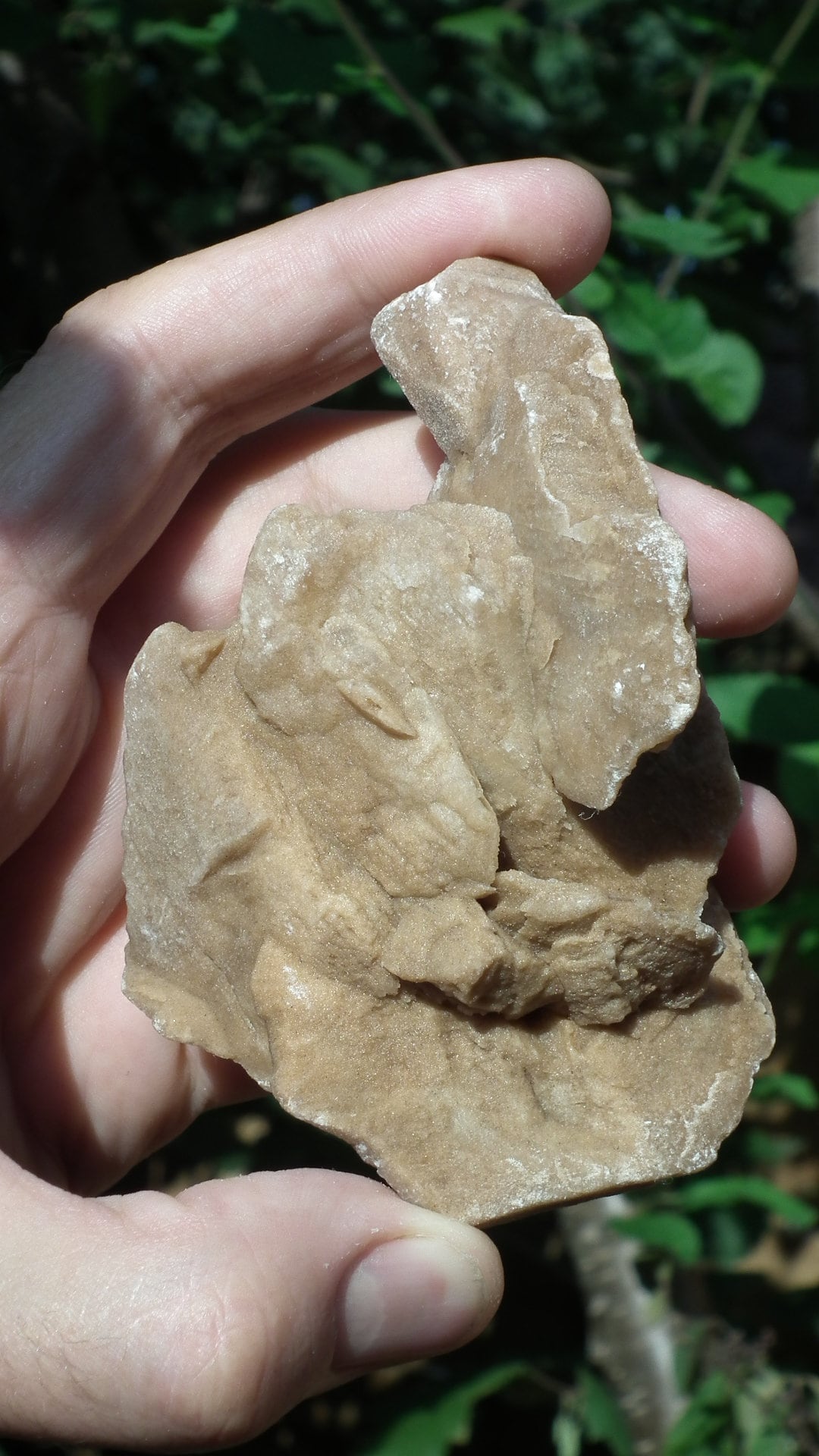 Desert rose crystal