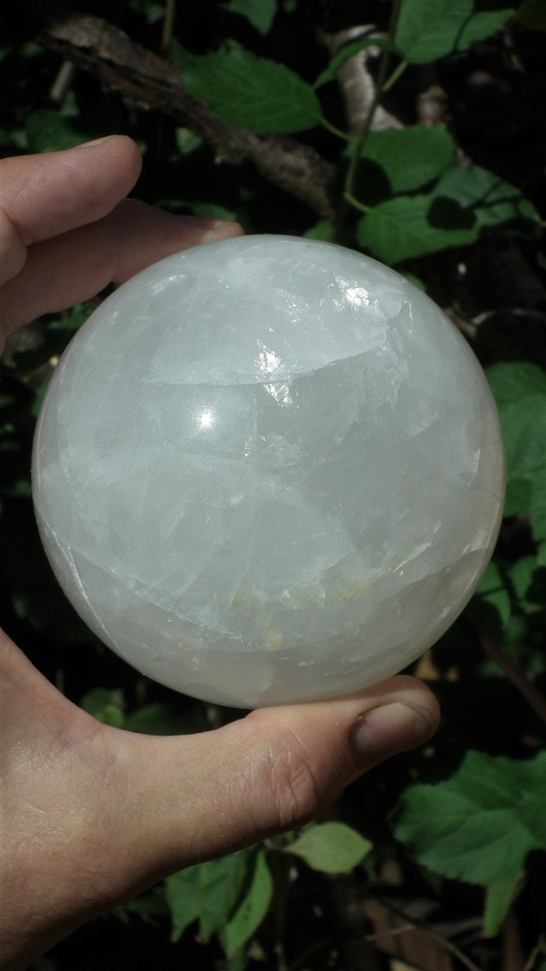 Golden Healer Sphere, XL Golden Healer, Yellow Hematoid