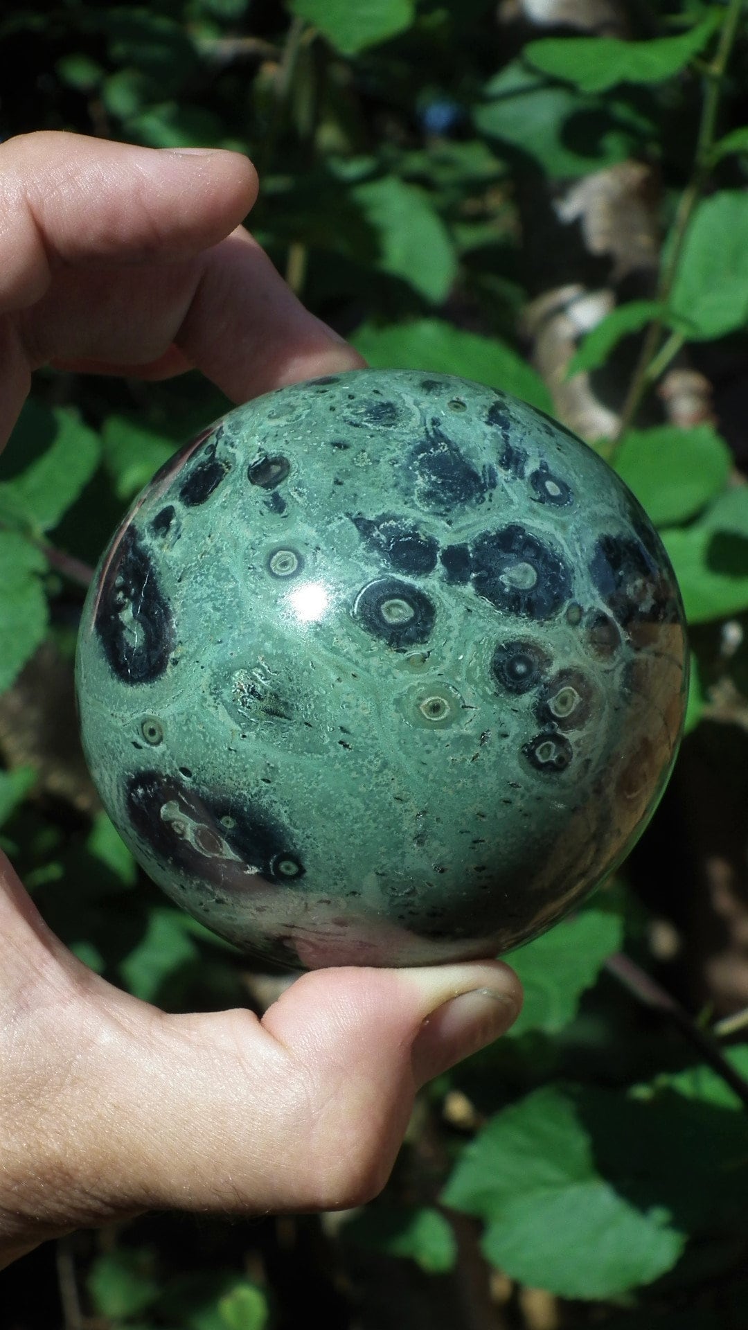 78mm Kambaba Jasper sphere