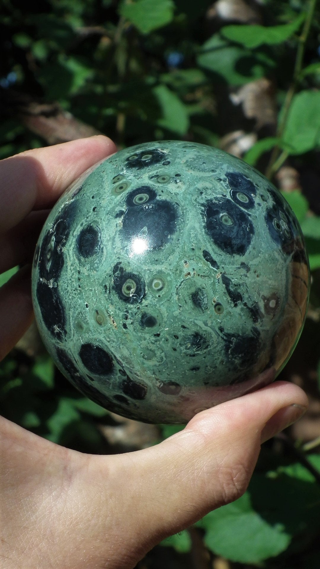 78mm Kambaba Jasper sphere