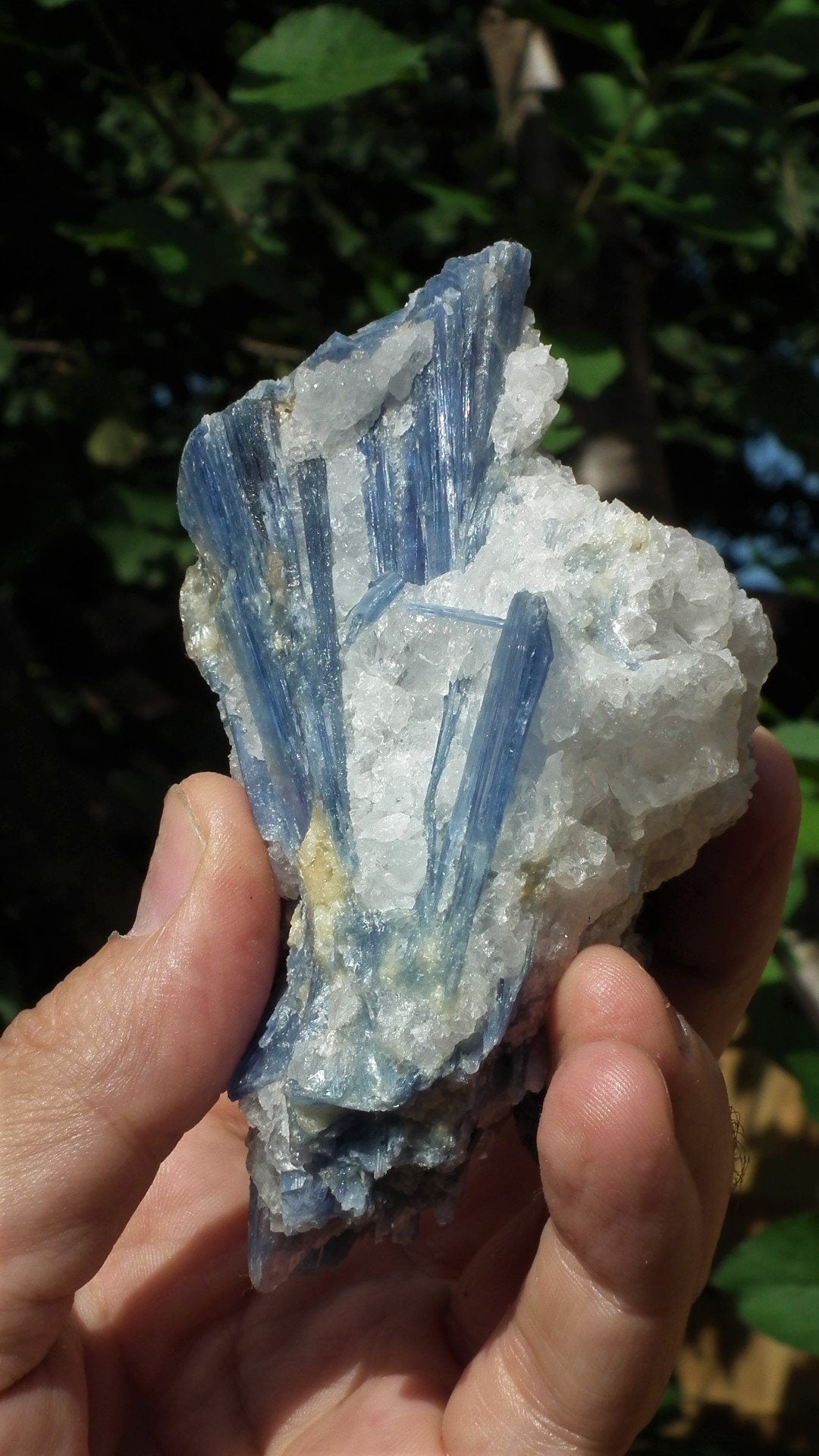 raw blue kyanite / large blue kyanite