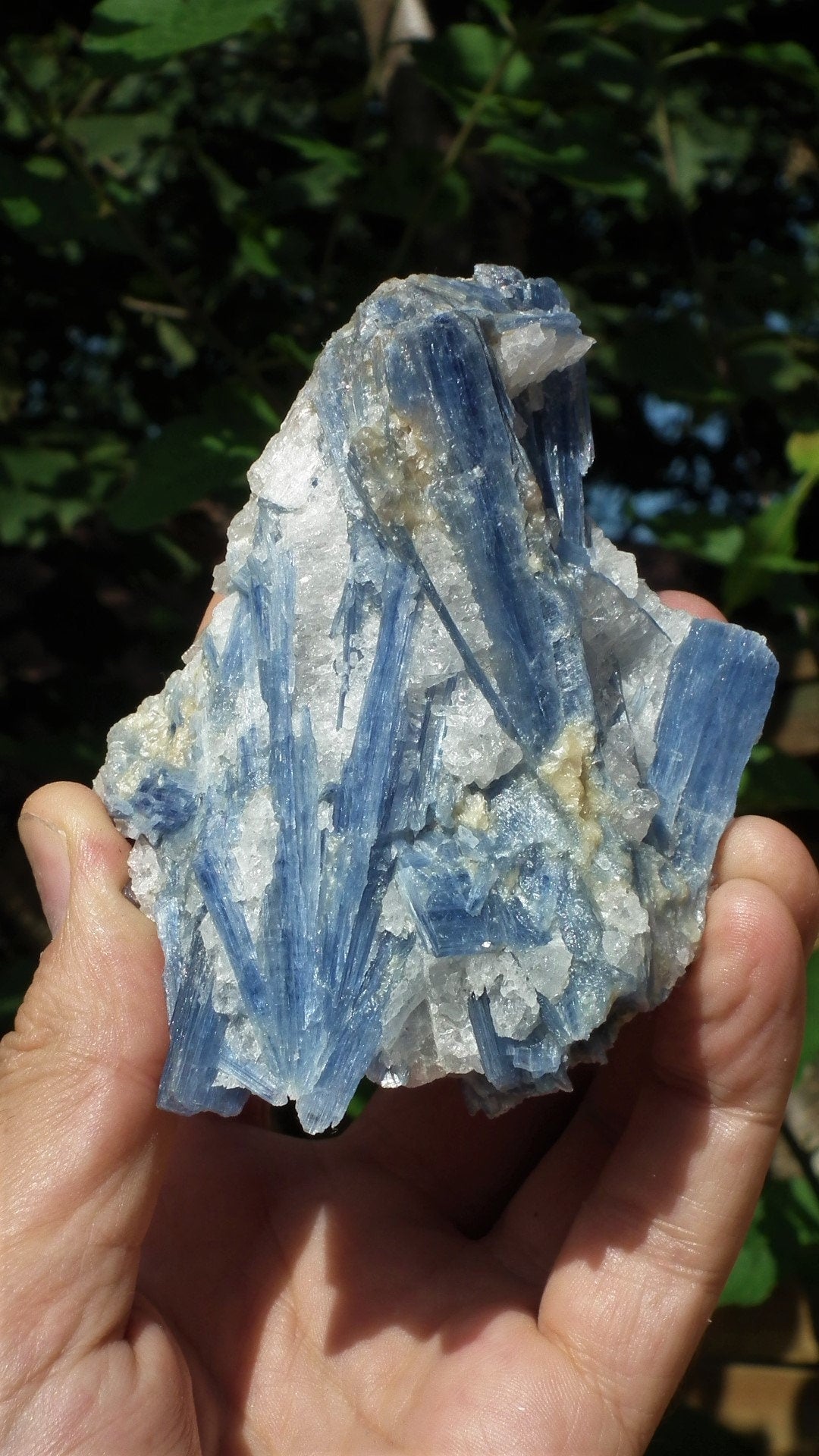 raw blue kyanite / large blue kyanite