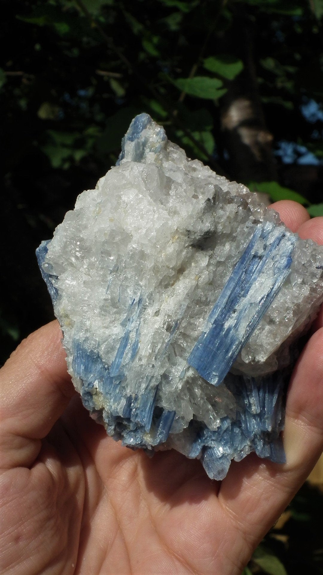 raw blue kyanite / large blue kyanite