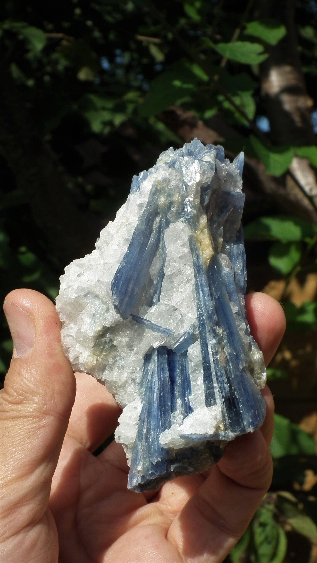 raw blue kyanite / large blue kyanite