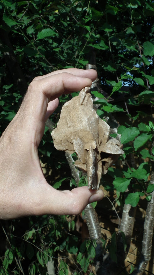 Desert rose crystal
