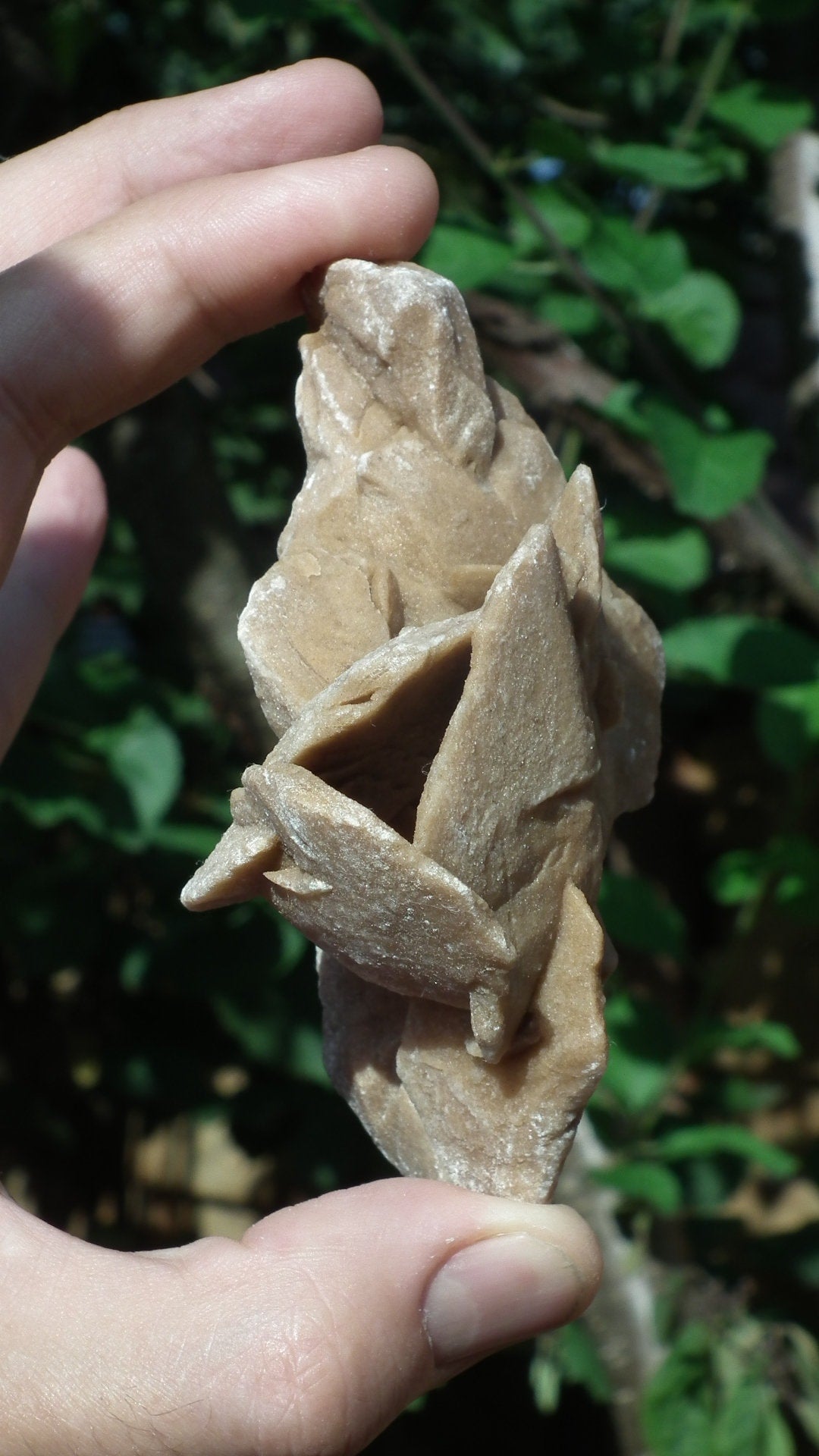 Desert rose crystal