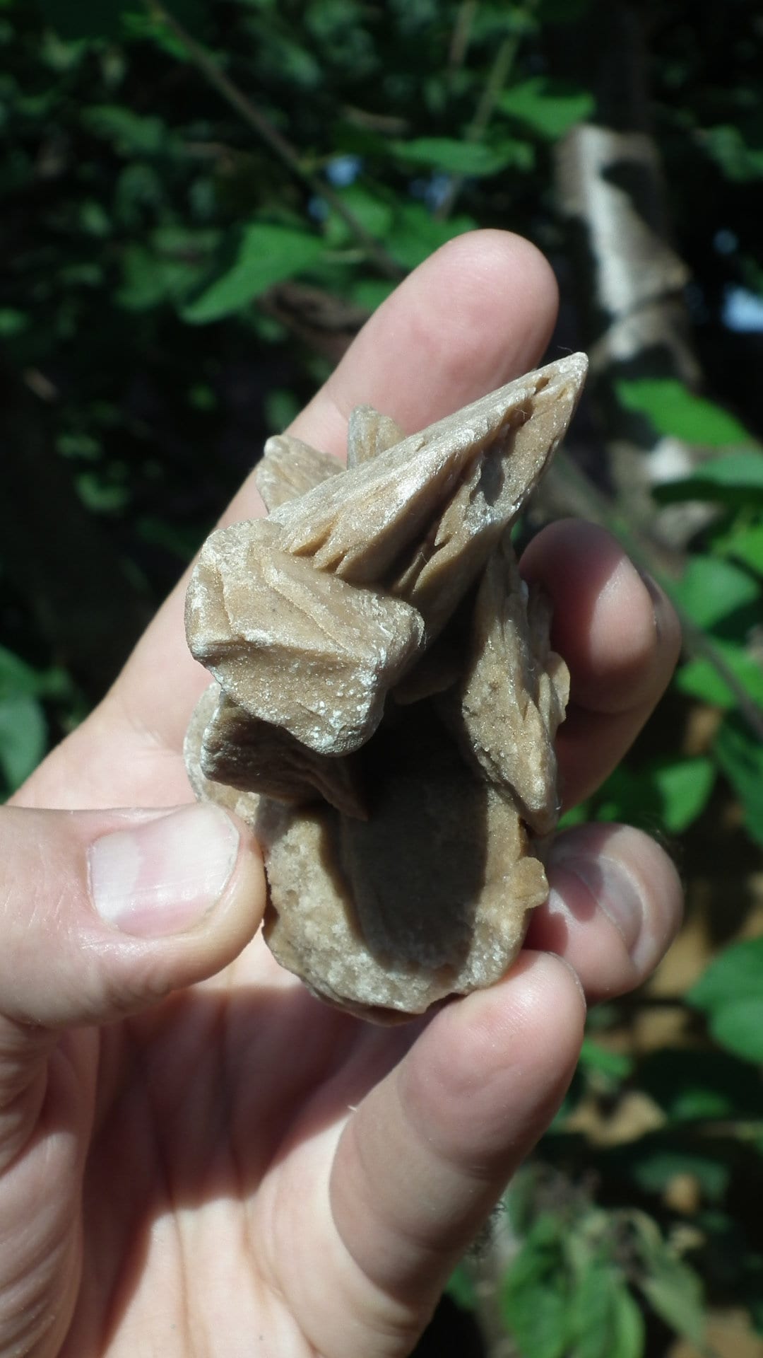 Desert rose crystal