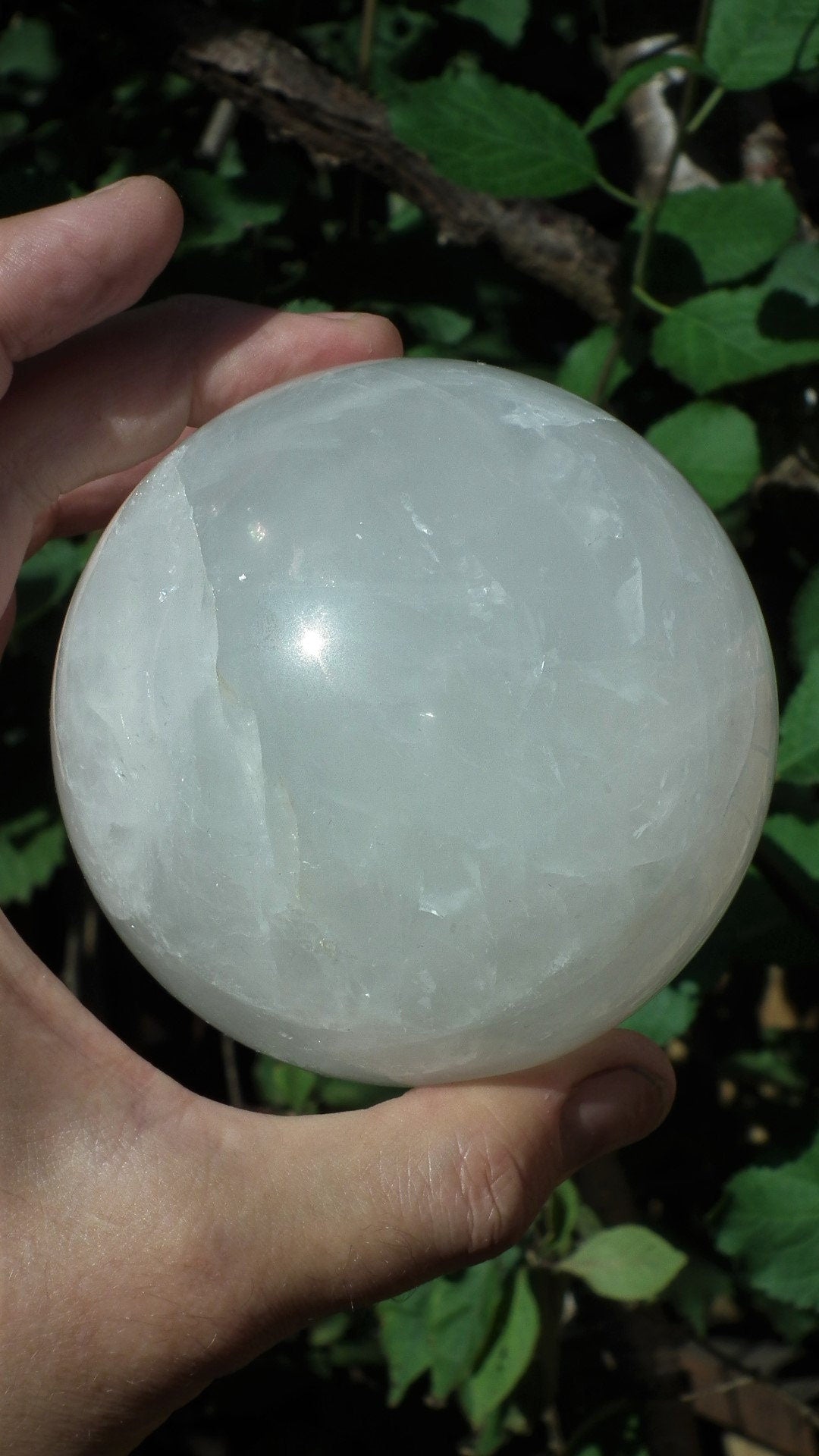 Golden Healer Sphere, XL Golden Healer, Yellow Hematoid