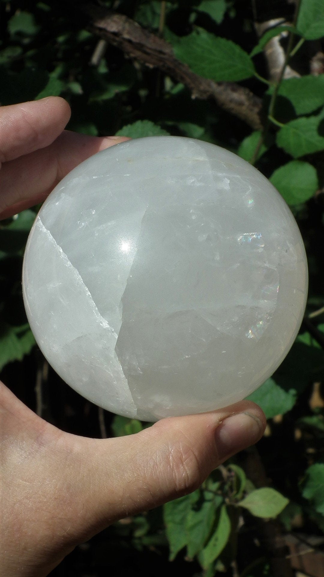 Golden Healer Sphere, XL Golden Healer, Yellow Hematoid