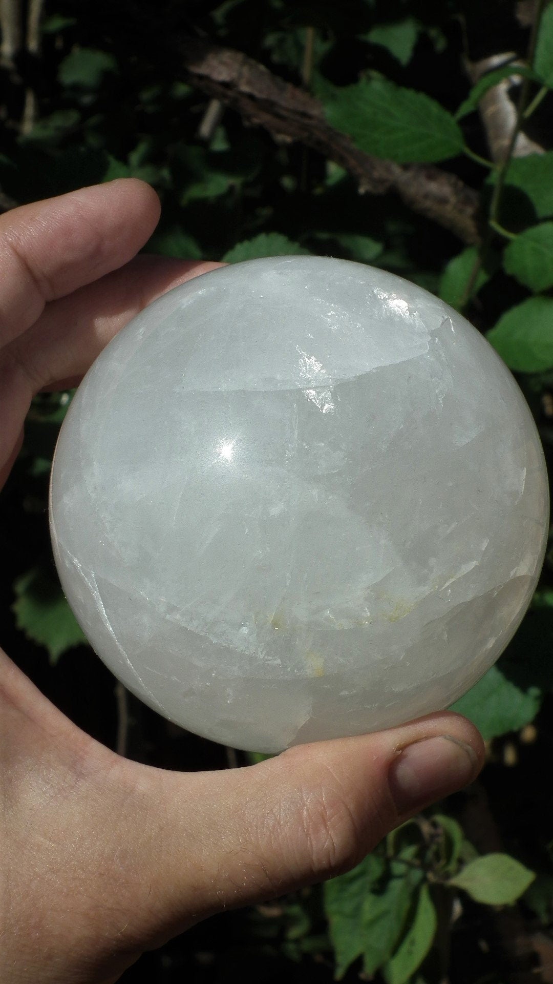 Golden Healer Sphere, XL Golden Healer, Yellow Hematoid