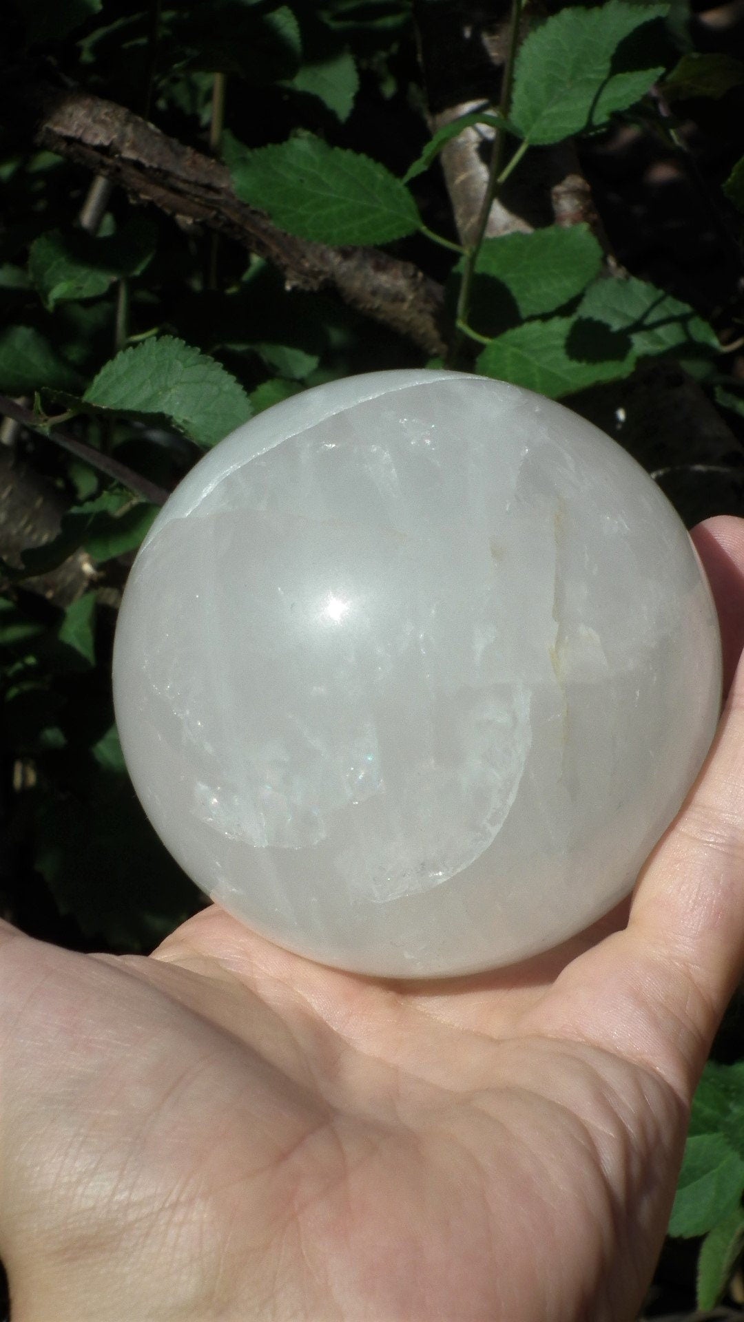 Golden Healer Sphere, XL Golden Healer, Yellow Hematoid