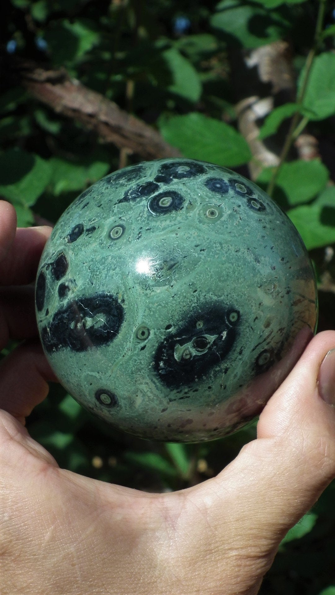 78mm Kambaba Jasper sphere
