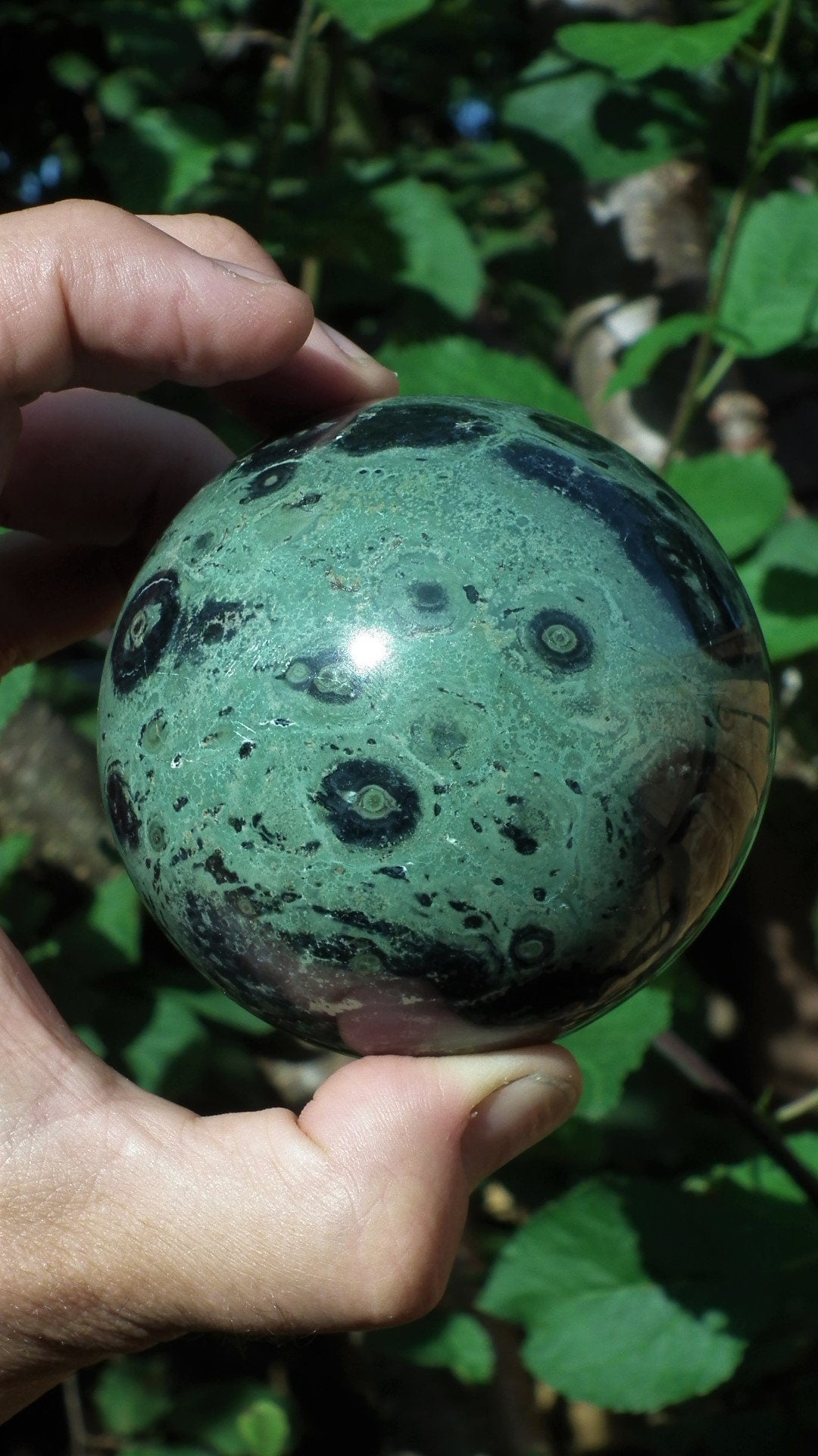 78mm Kambaba Jasper sphere
