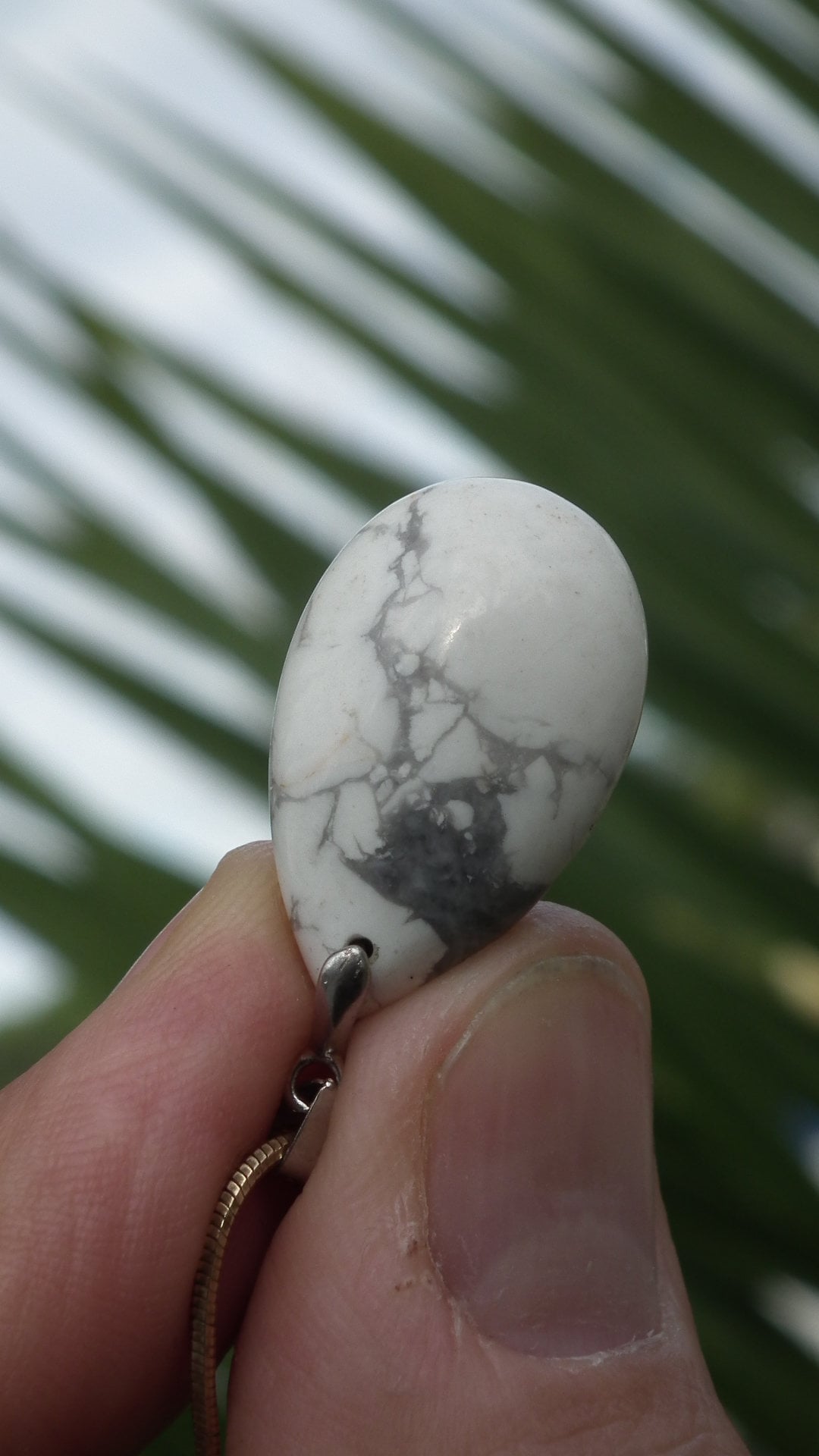 Howlite necklace