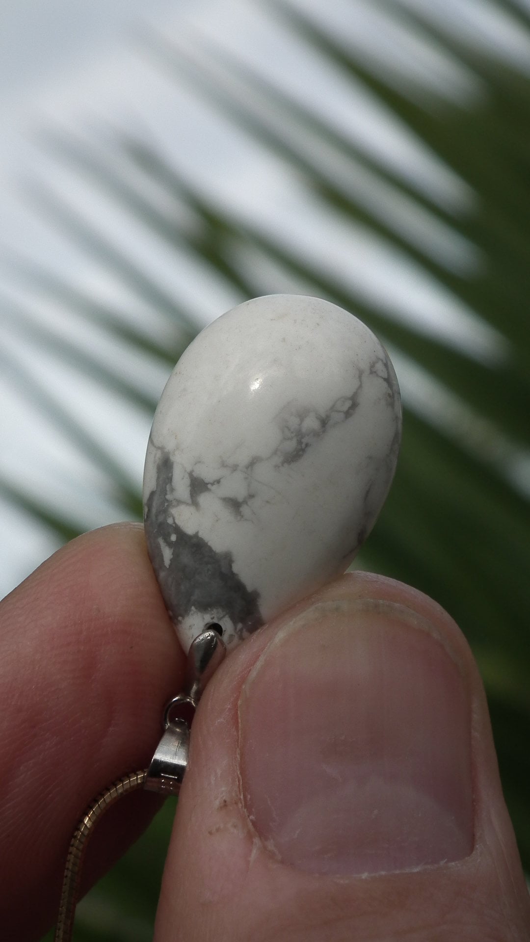 Howlite necklace