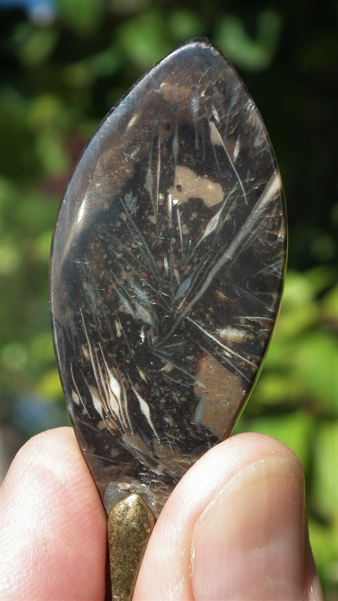 Feather Agate with bronze bail