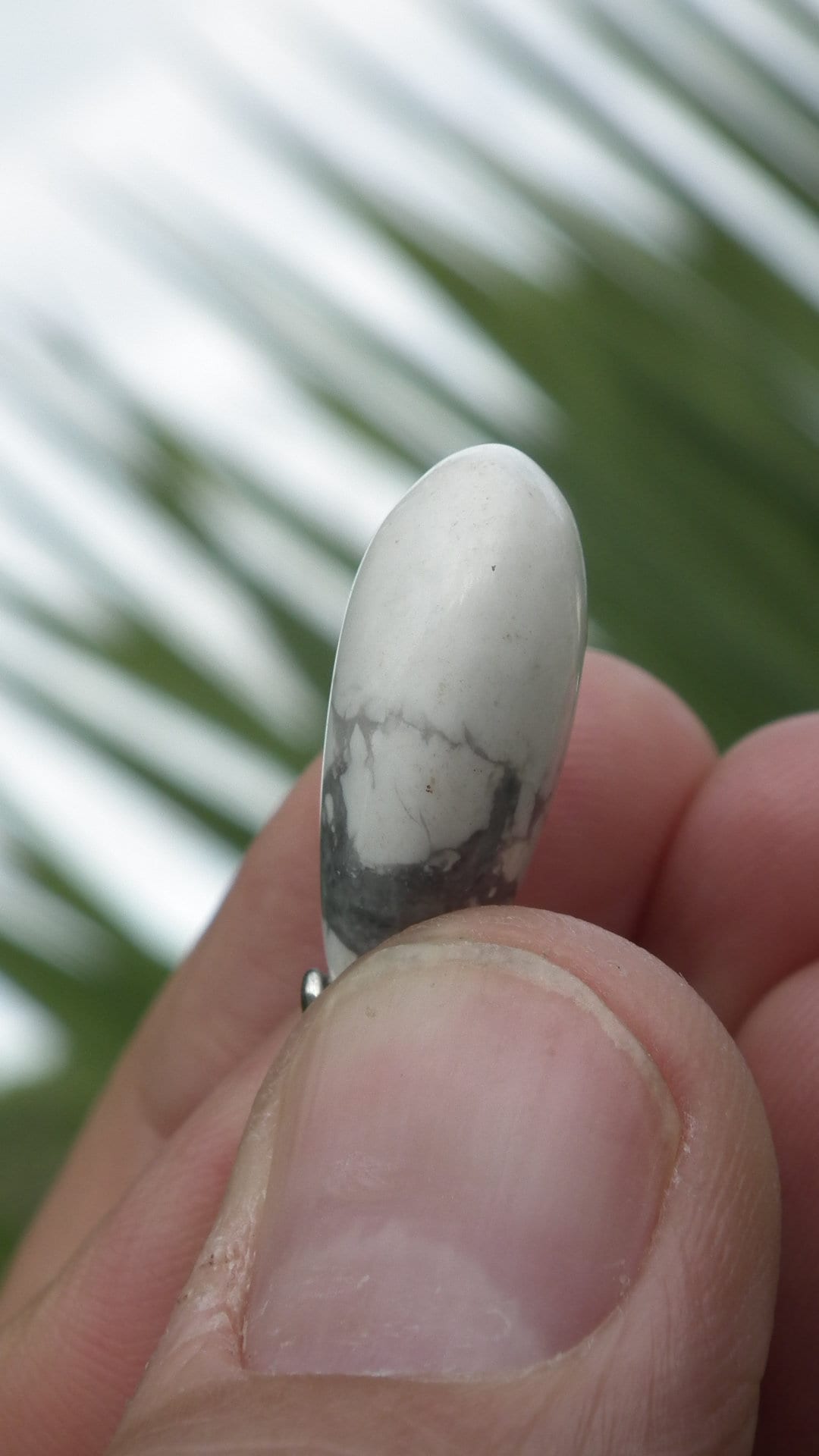 Howlite necklace