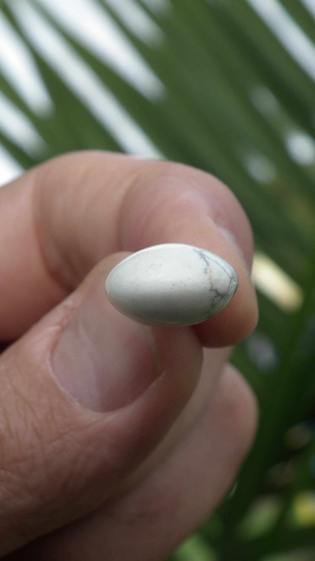 Howlite necklace