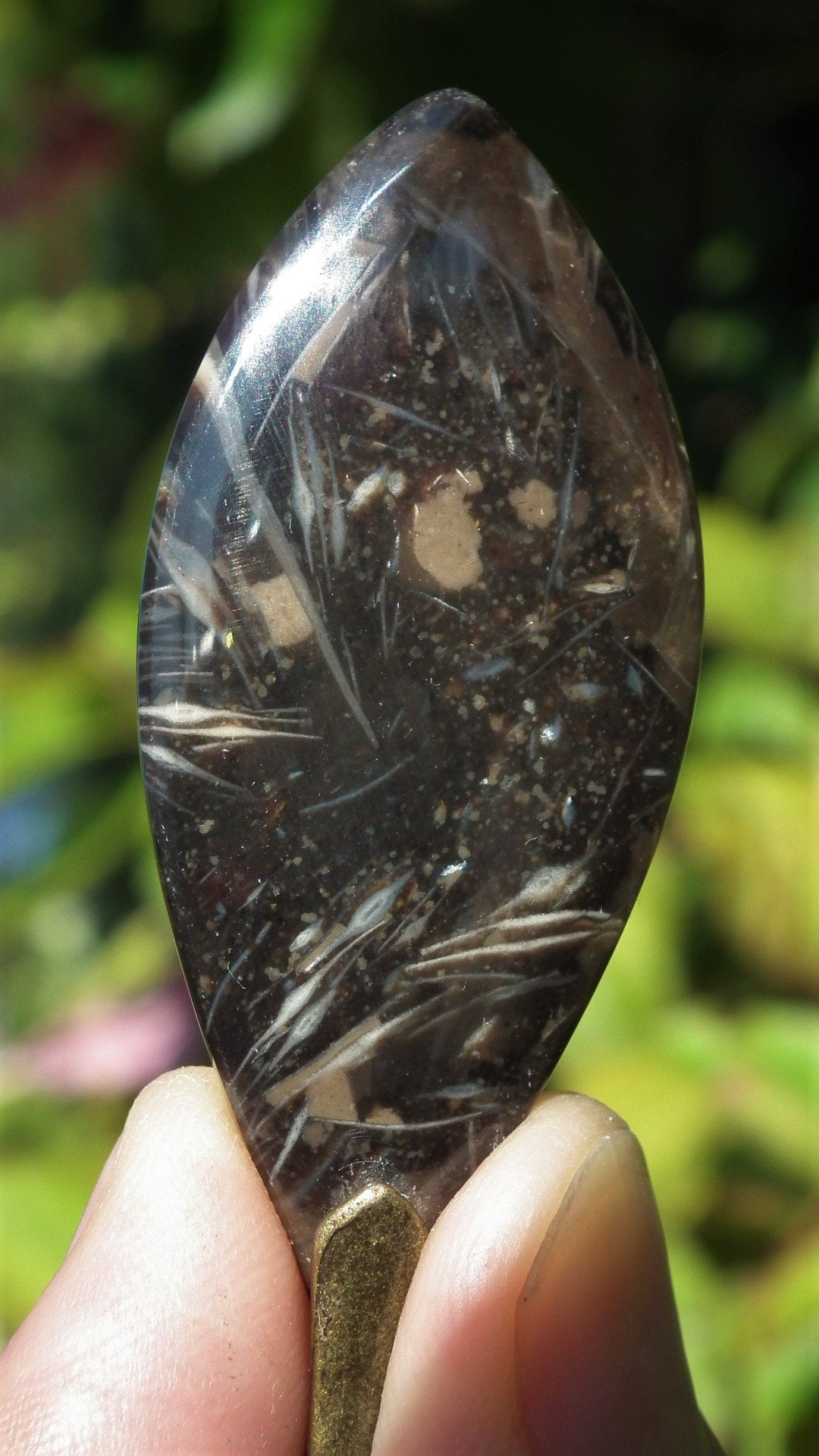 Feather Agate with bronze bail