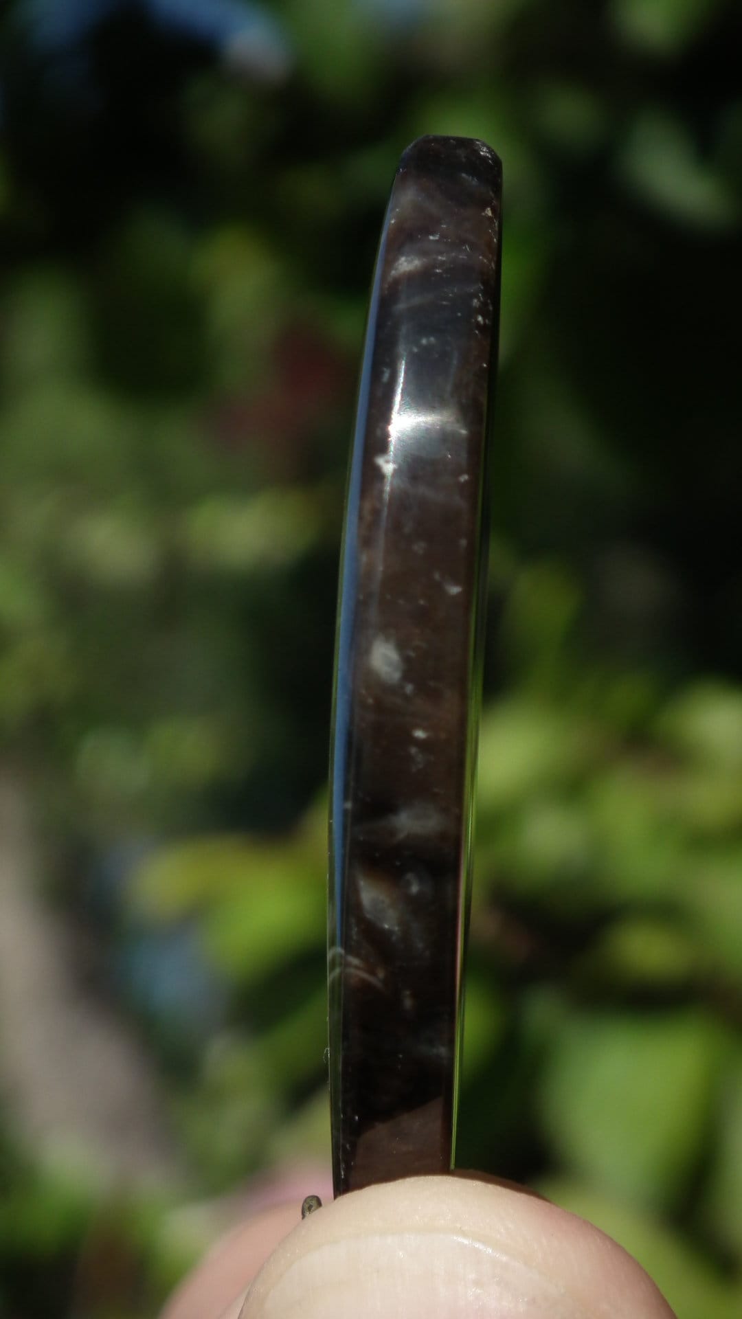 Feather Agate with bronze bail