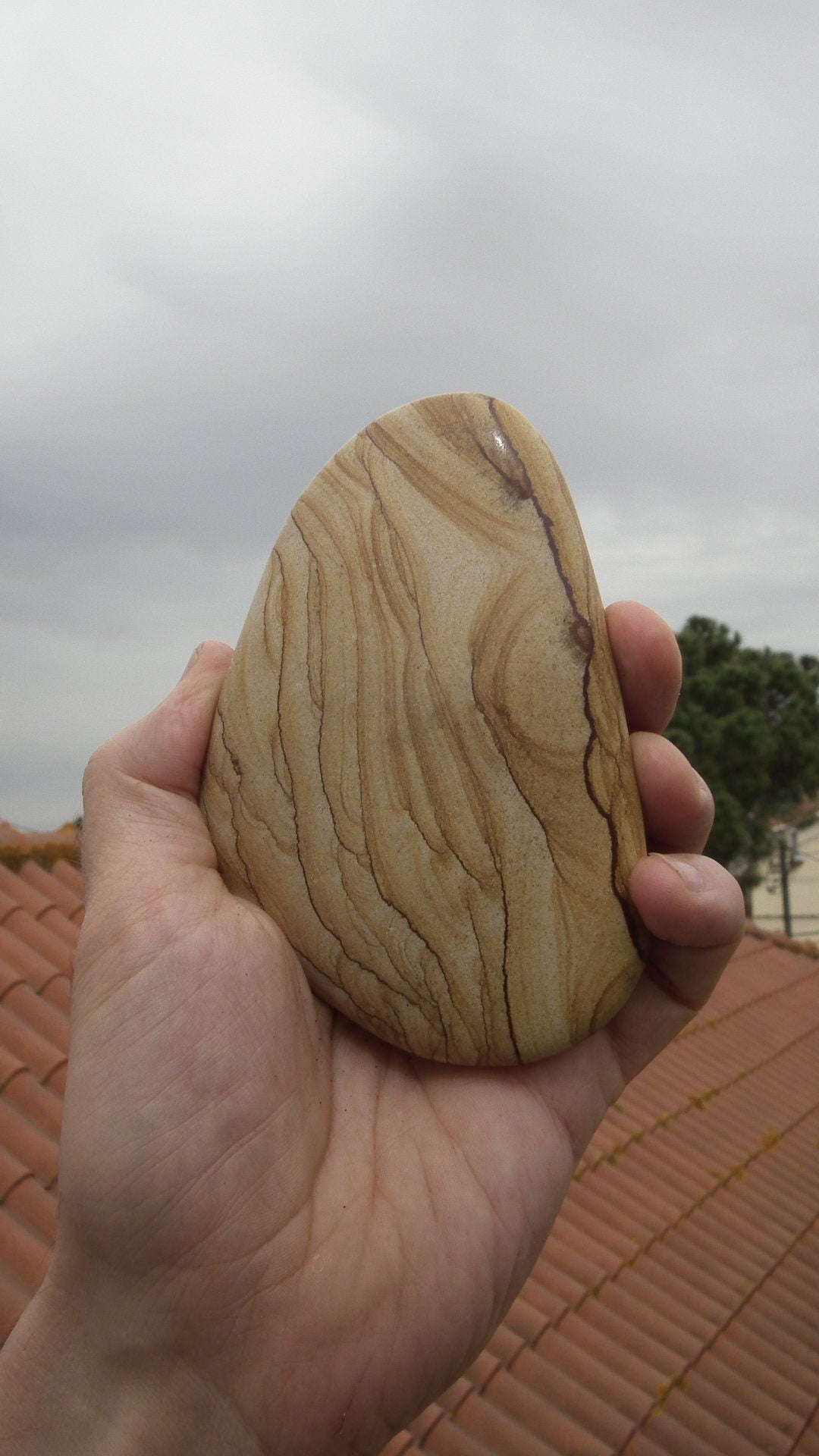Picture jasper Freefrom / Sculpture