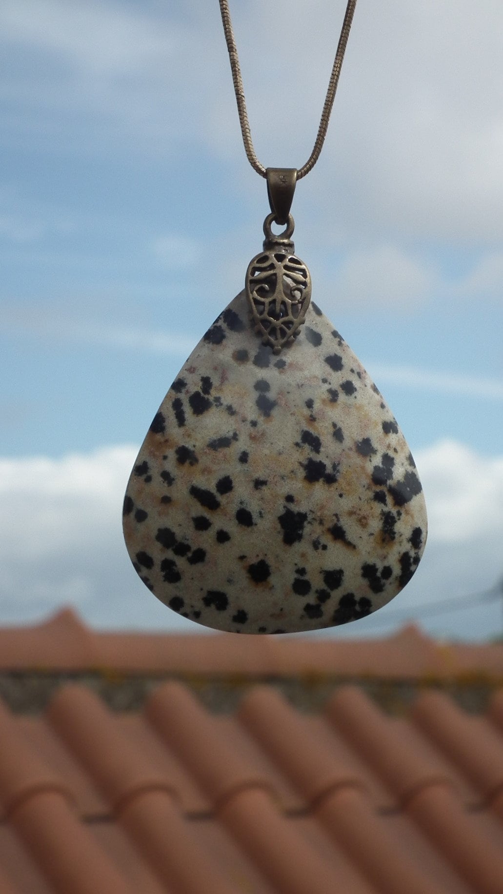 Dalmatian jasper necklace with bronze bail