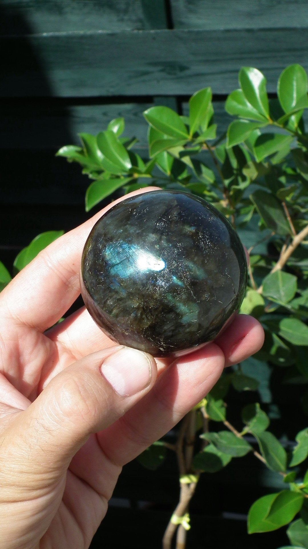Labradorite sphere from Madagaskar // 62 mm sphere