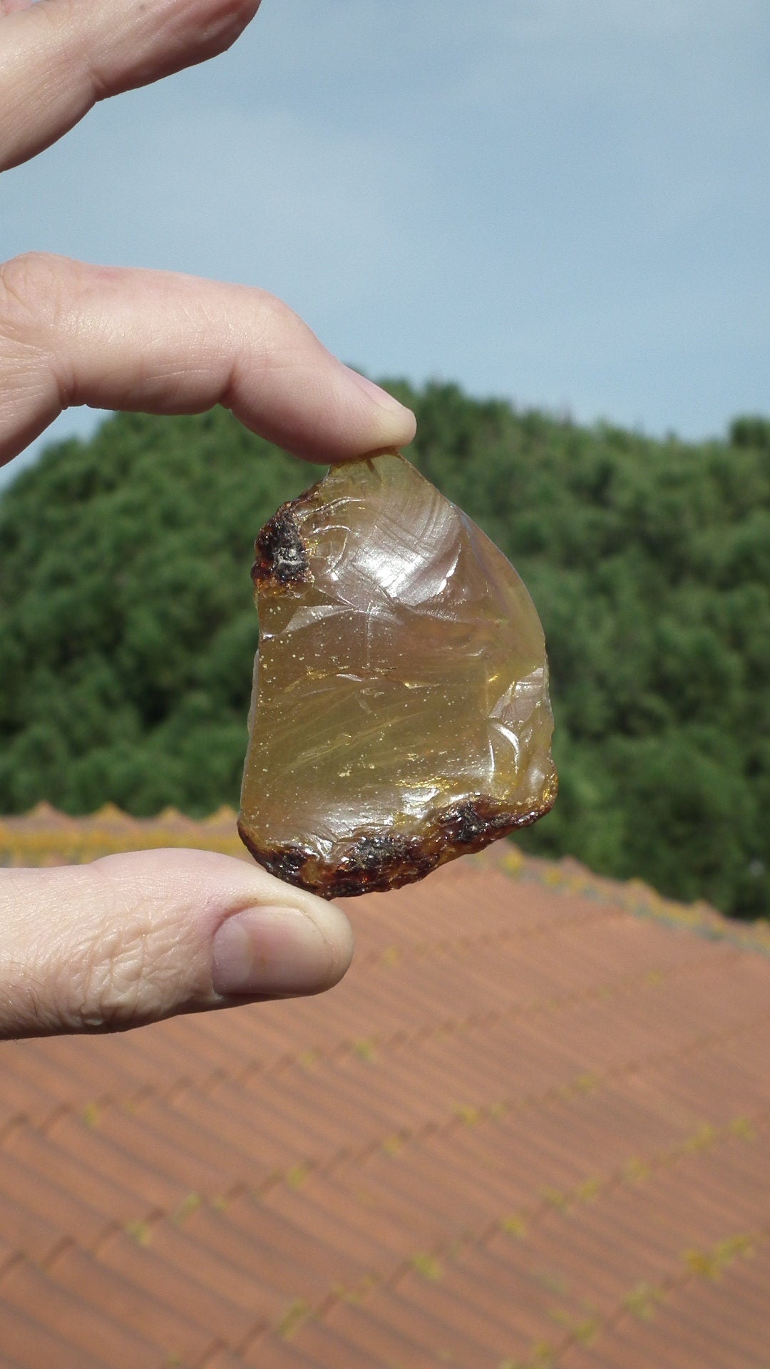 Amber stone // Raw sumatra amber