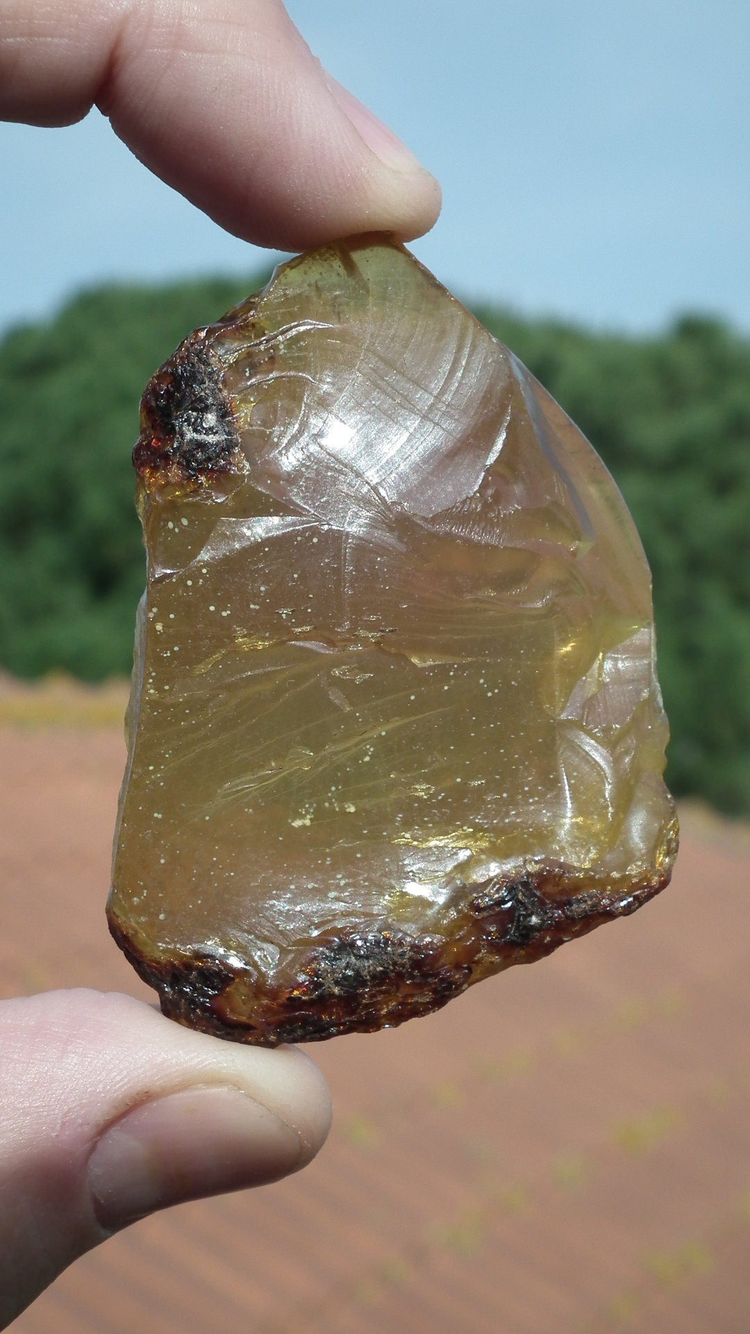 Amber stone // Raw sumatra amber