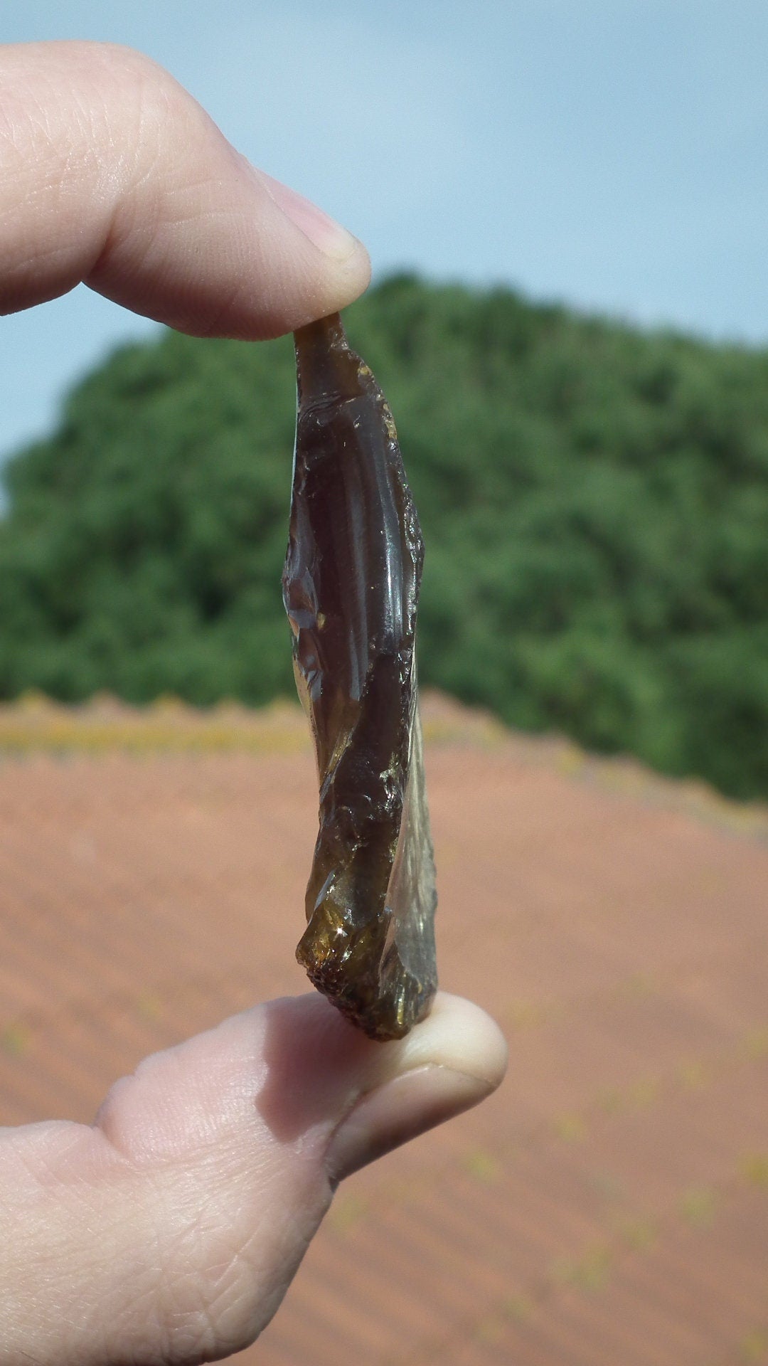 Amber stone // Raw sumatra amber