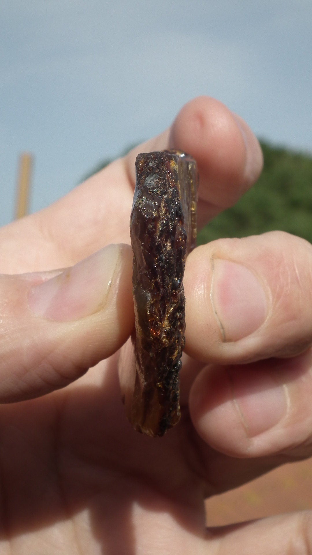 Amber stone // Raw sumatra amber