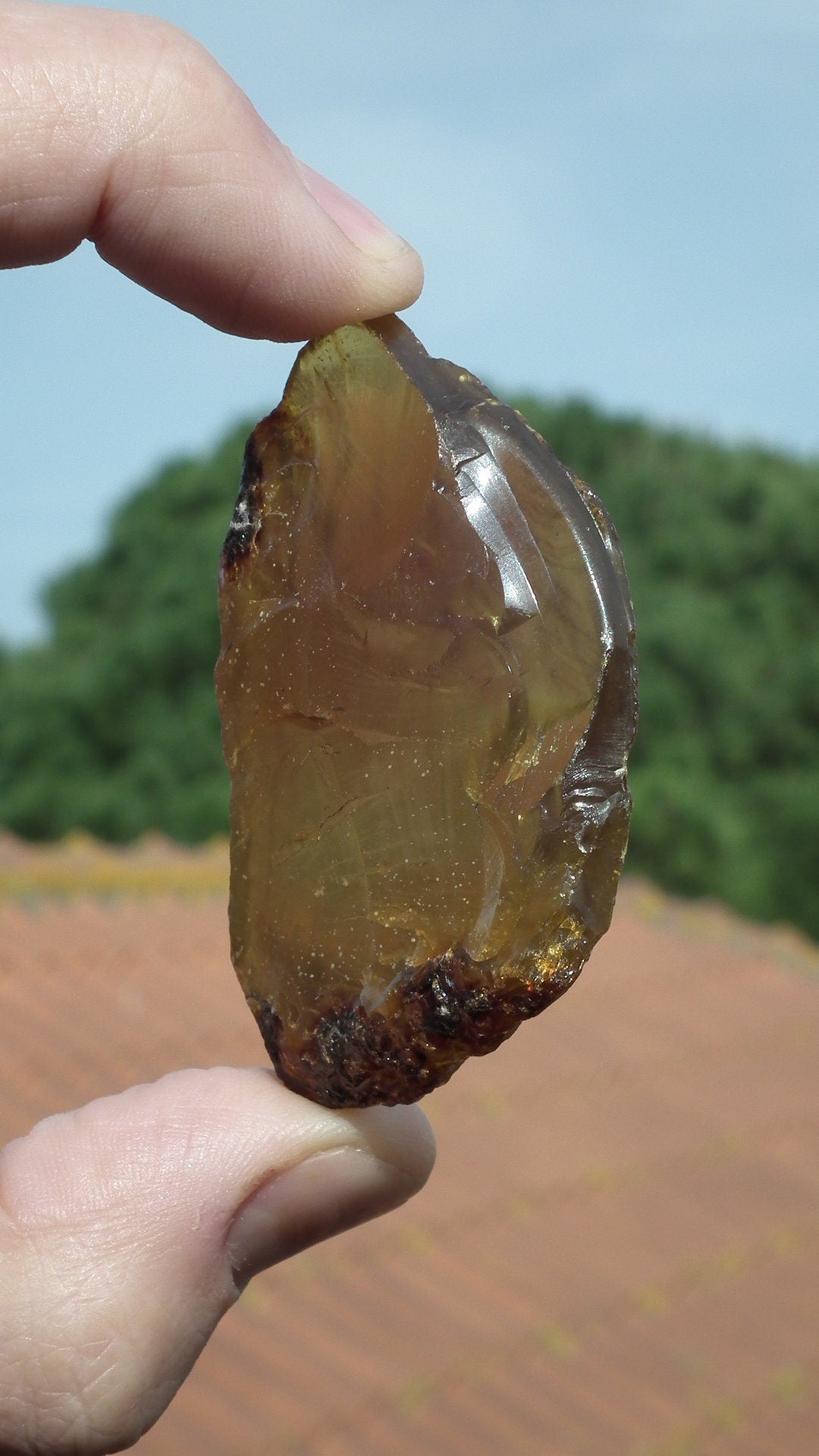 Amber stone // Raw sumatra amber
