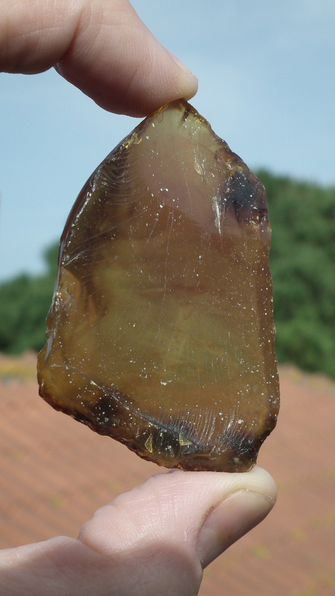 Amber stone // Raw sumatra amber