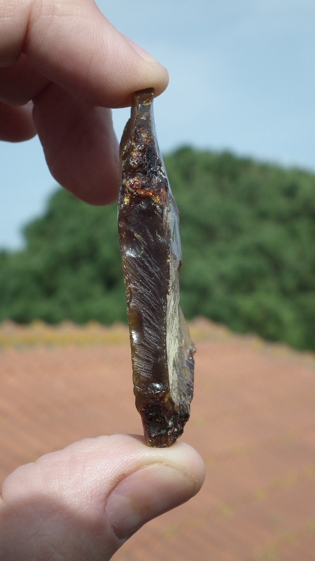 Amber stone // Raw sumatra amber