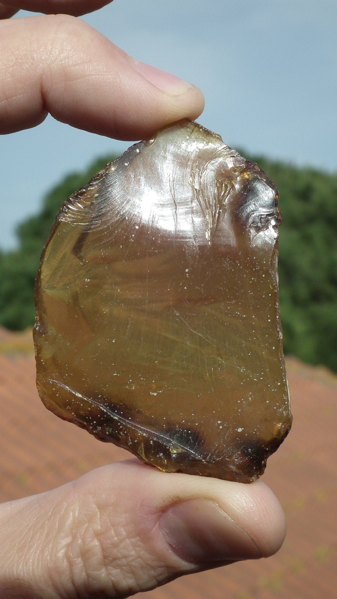 Amber stone // Raw sumatra amber