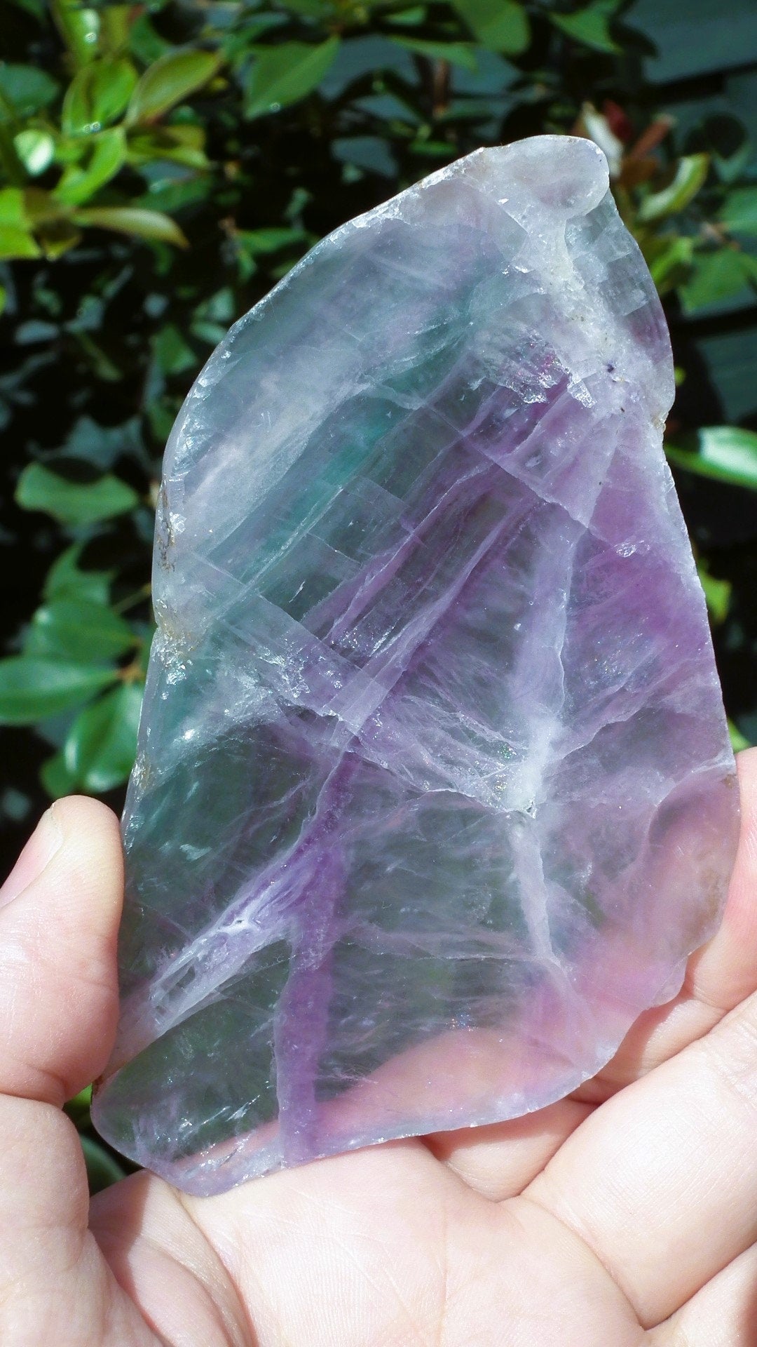 Rainbow Fluorite Slab