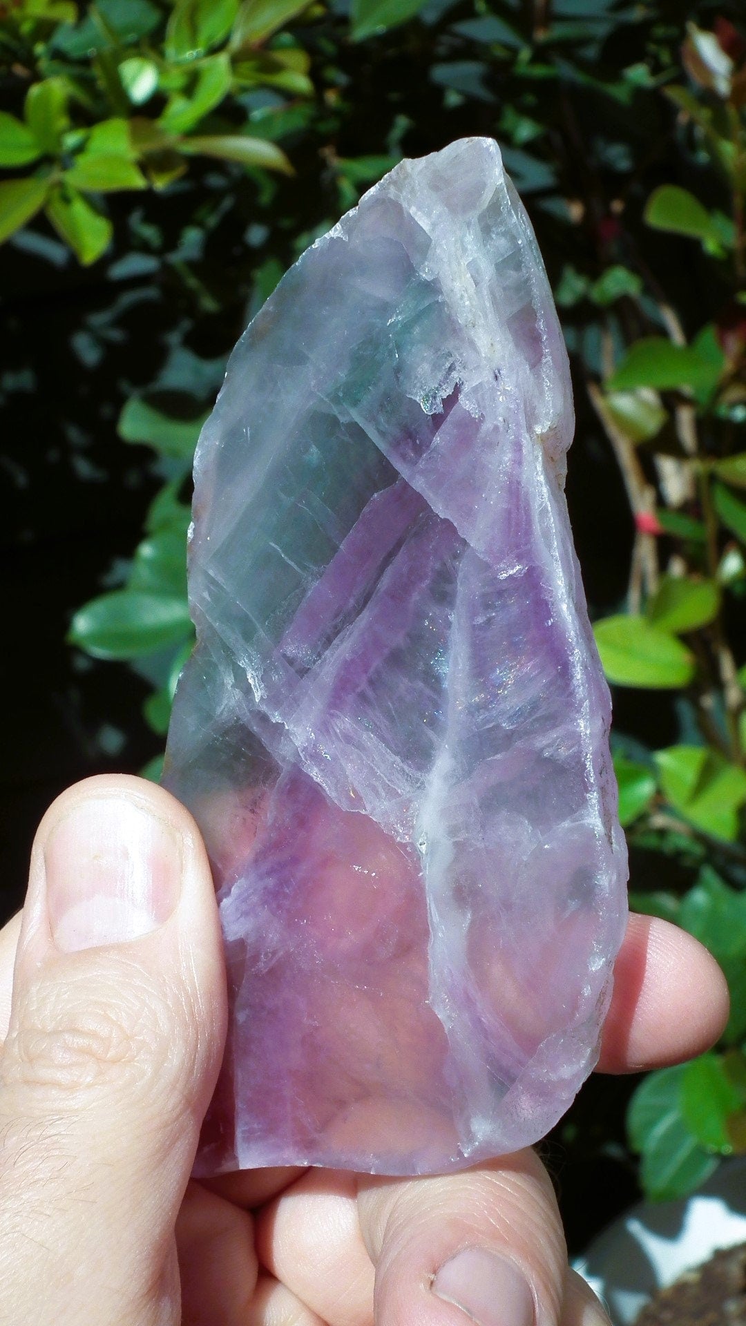 Rainbow Fluorite Slab