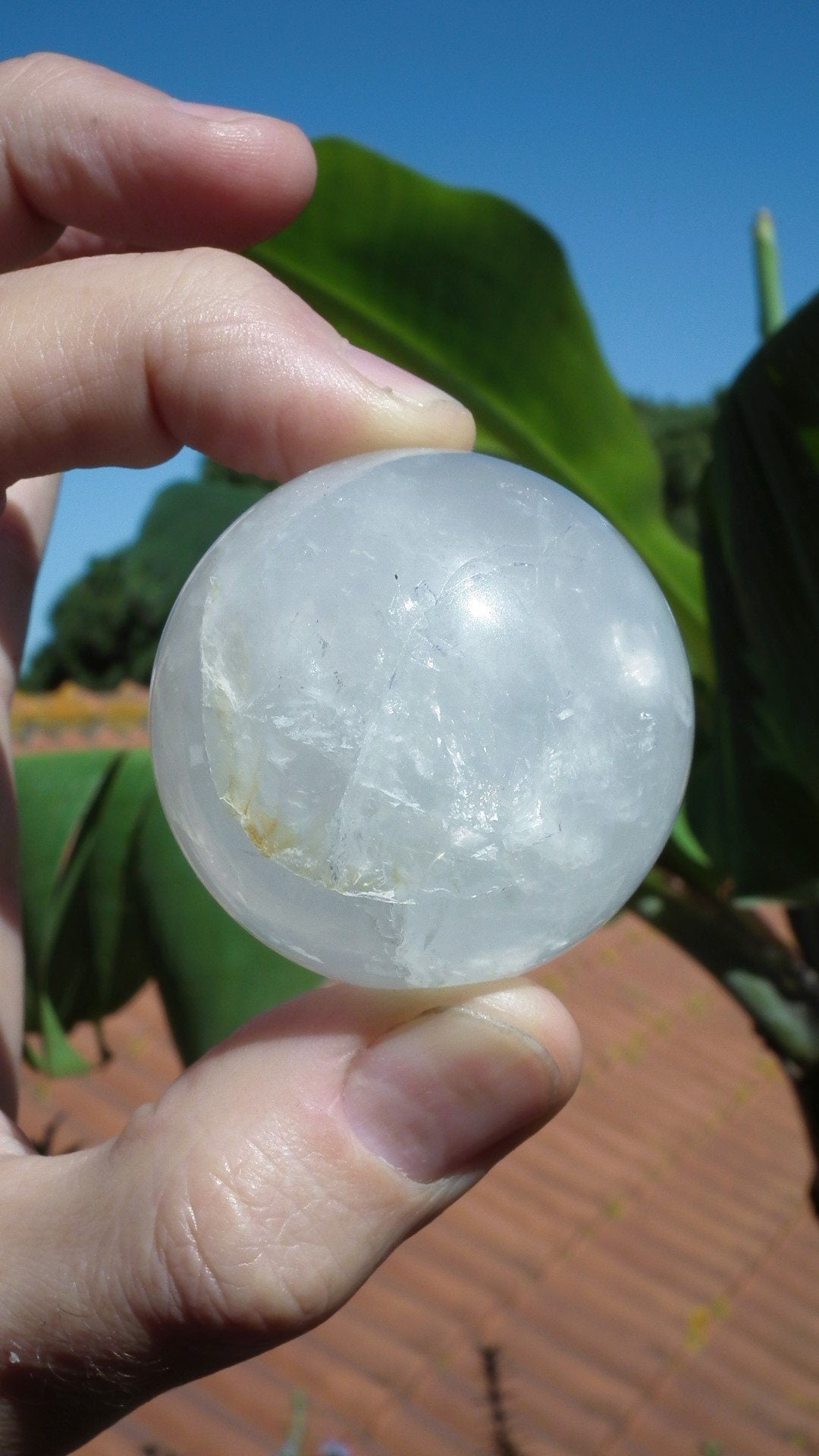 Golden Healer Sphere, XL Golden Healer, Yellow Hematoid