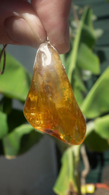 Baltic amber / bernstein pendant with silverplated bel cap