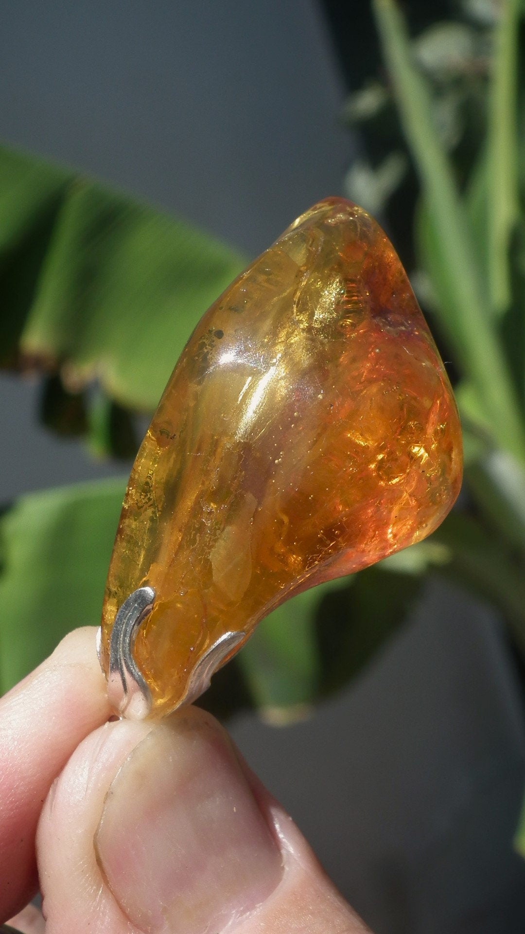 Baltic amber / bernstein pendant with silverplated bel cap