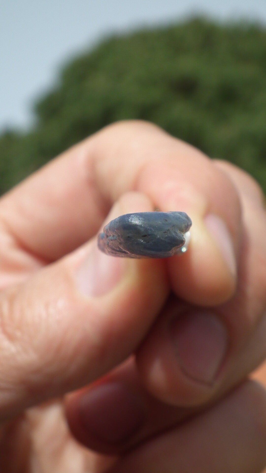 Blue kyanite pendant