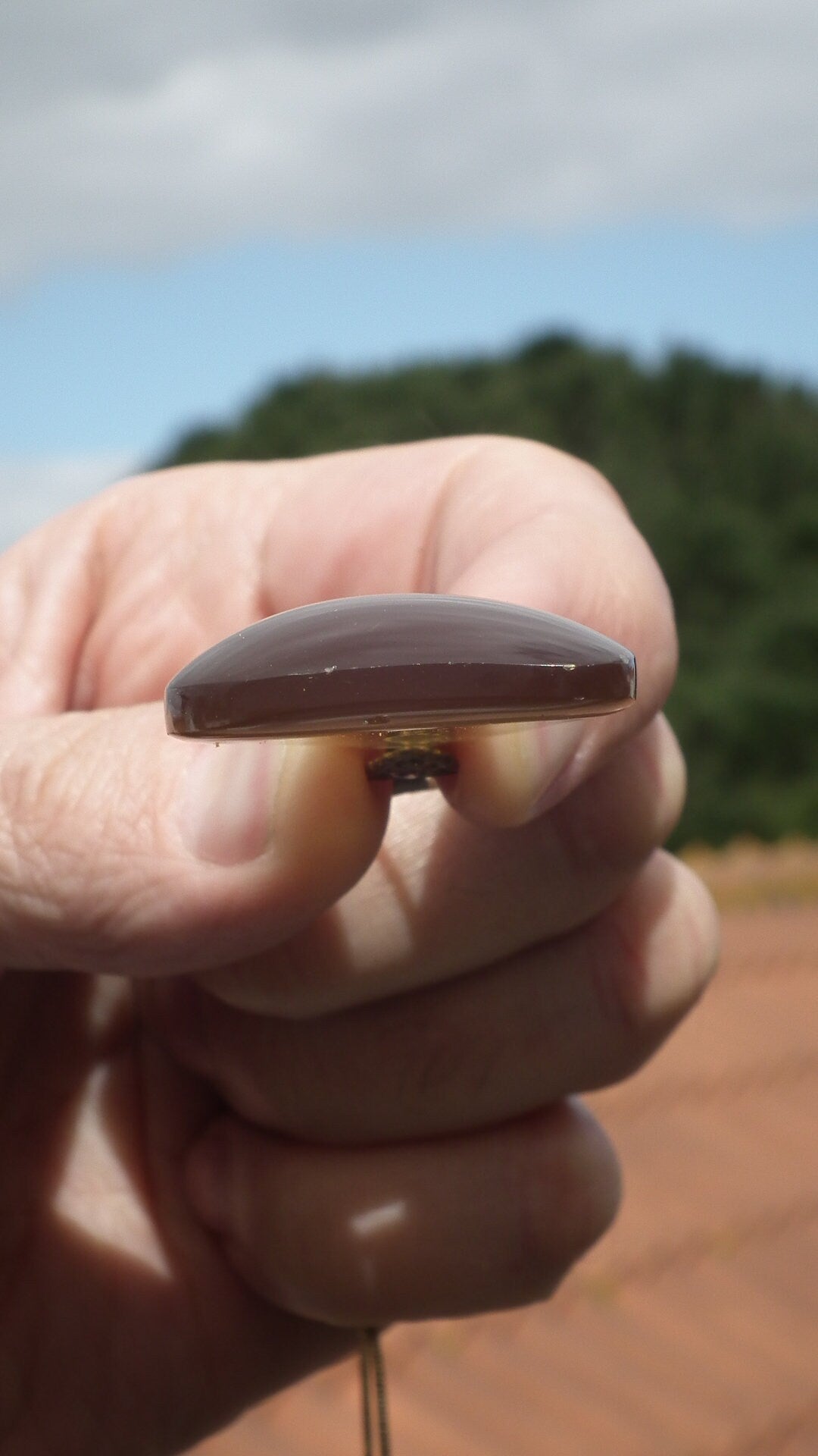 Sumatra amber pendant with bronze bail