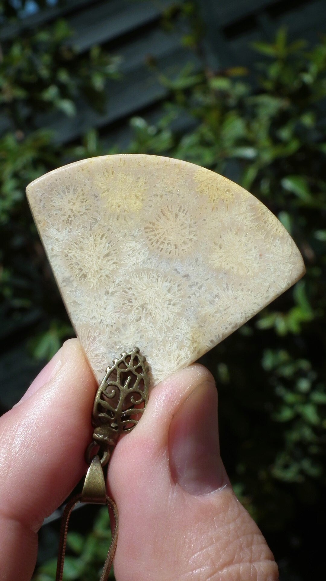 fossilized coral necklace