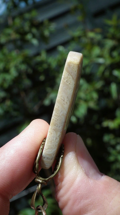 fossilized coral necklace